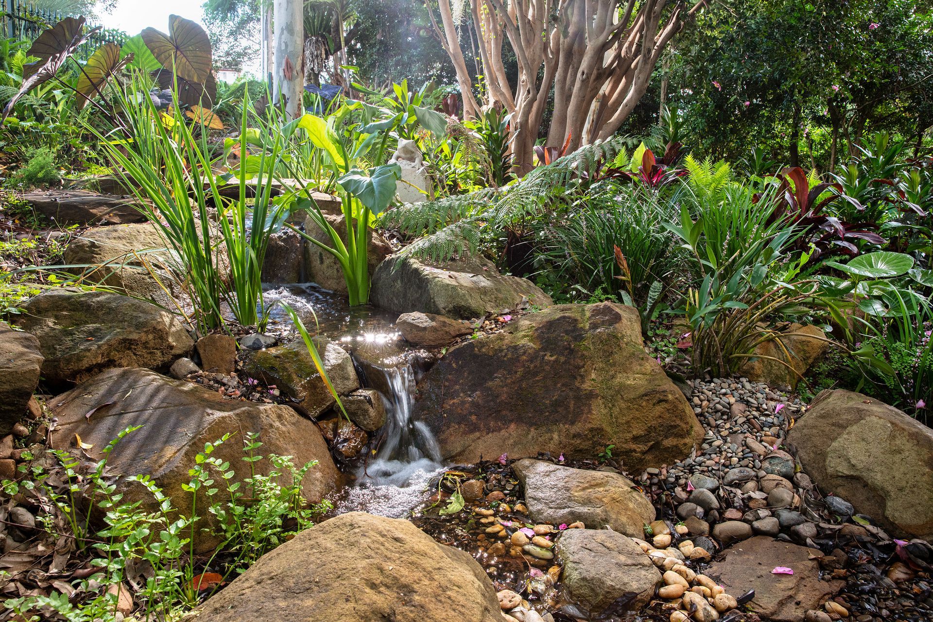 Forest Creek