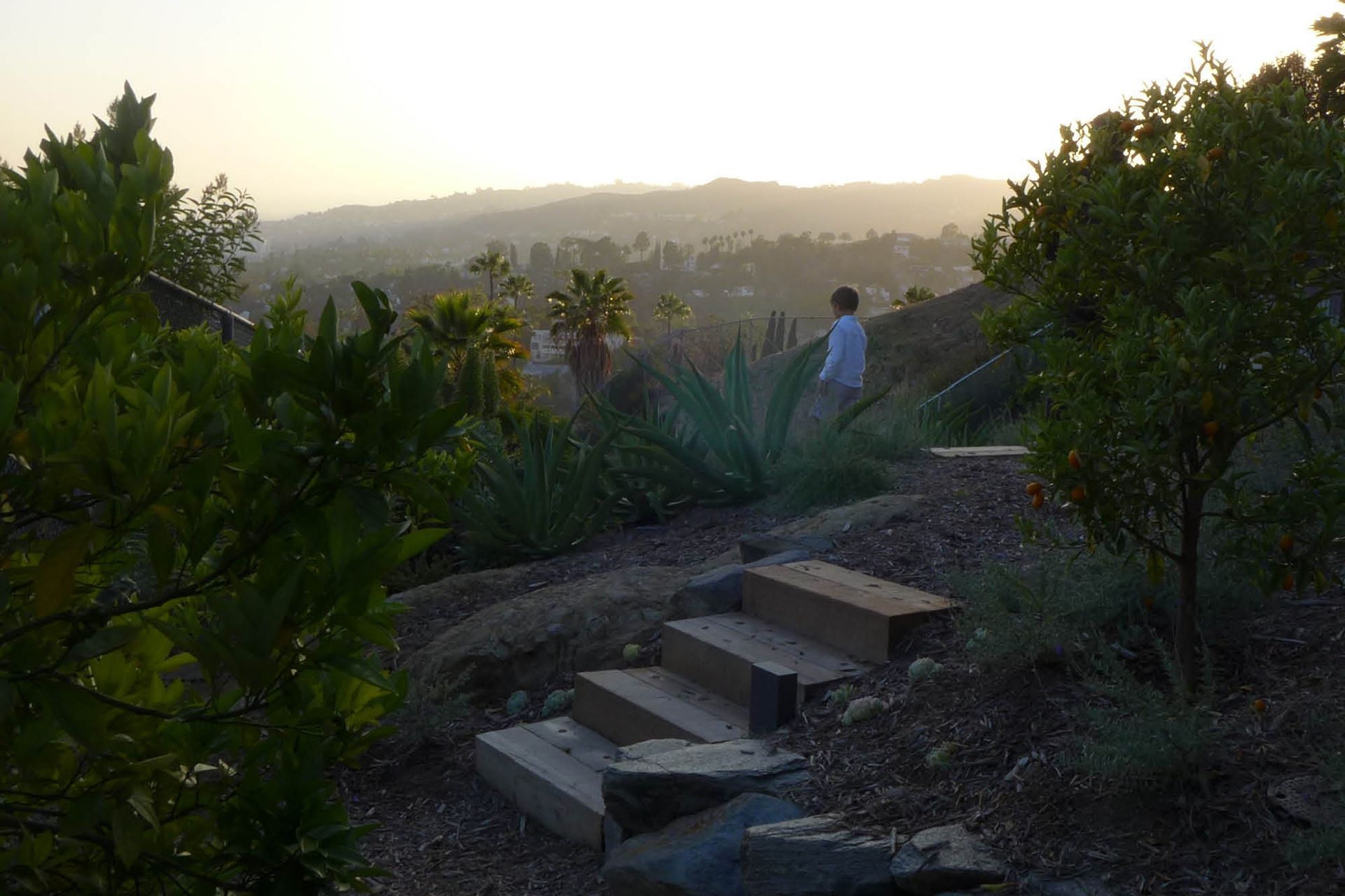 HollywoodHillsResidence13.jpg