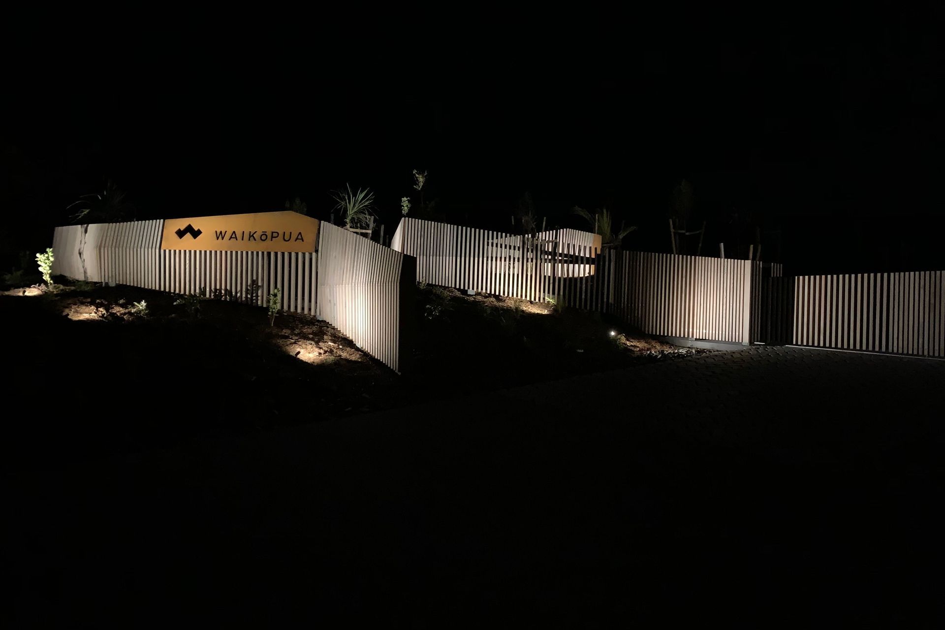IMG0534-v3.jpeg