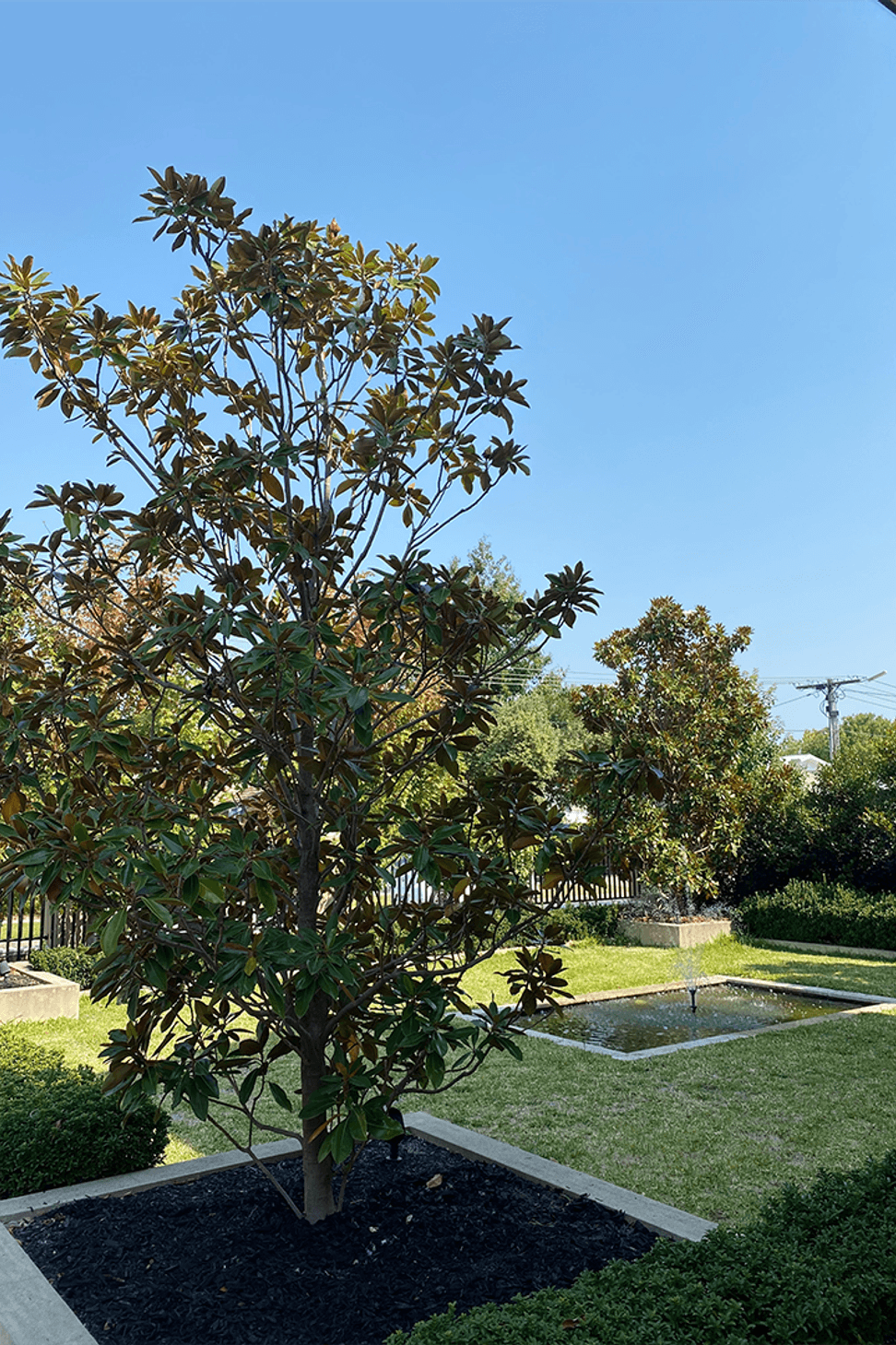 Beautiful Bentleigh Build