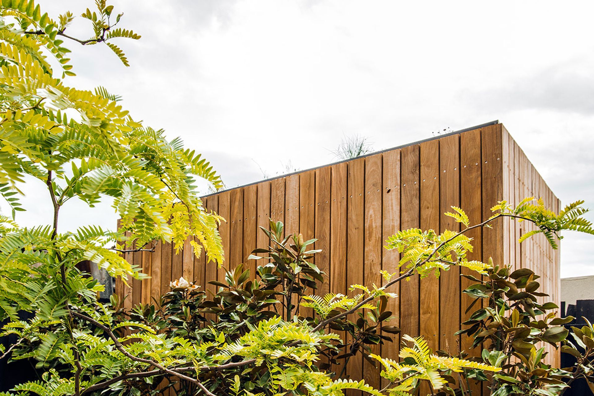 ##^^Ascot Vale