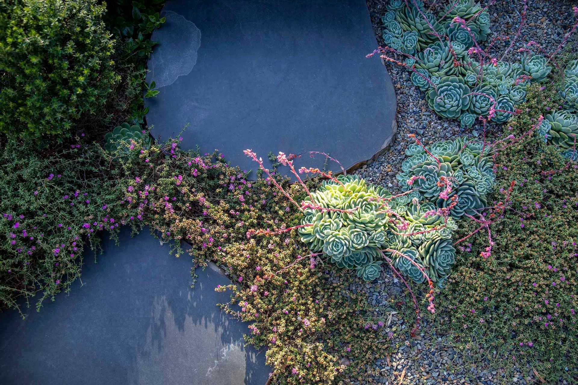 Cascade Garden