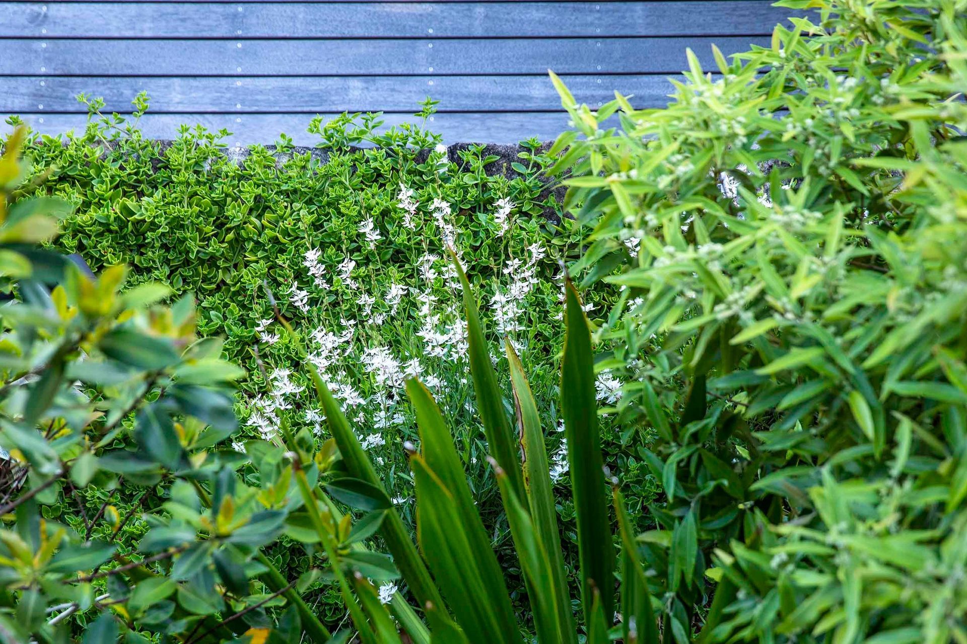 Cascade Garden
