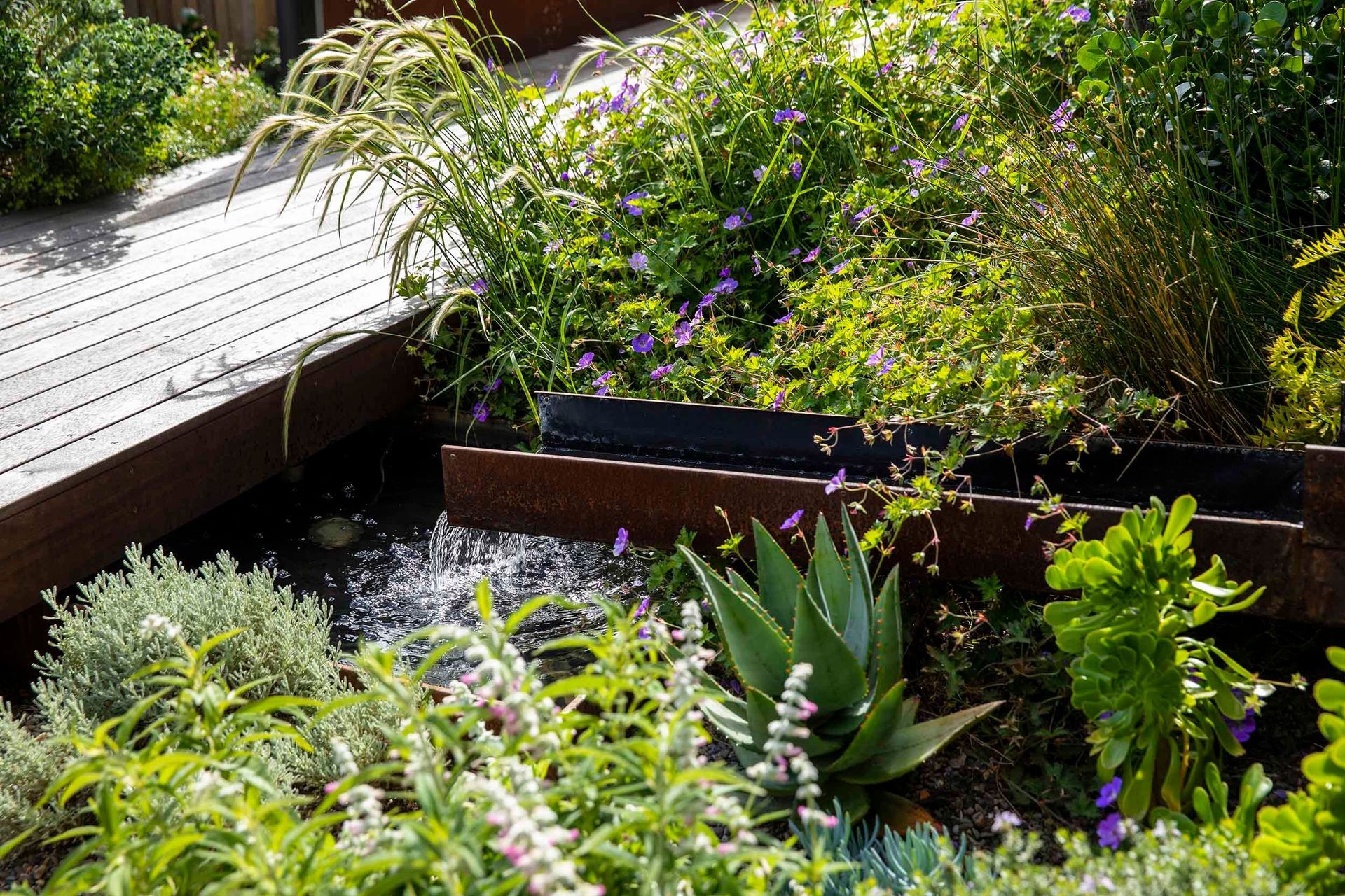 Cascade Garden