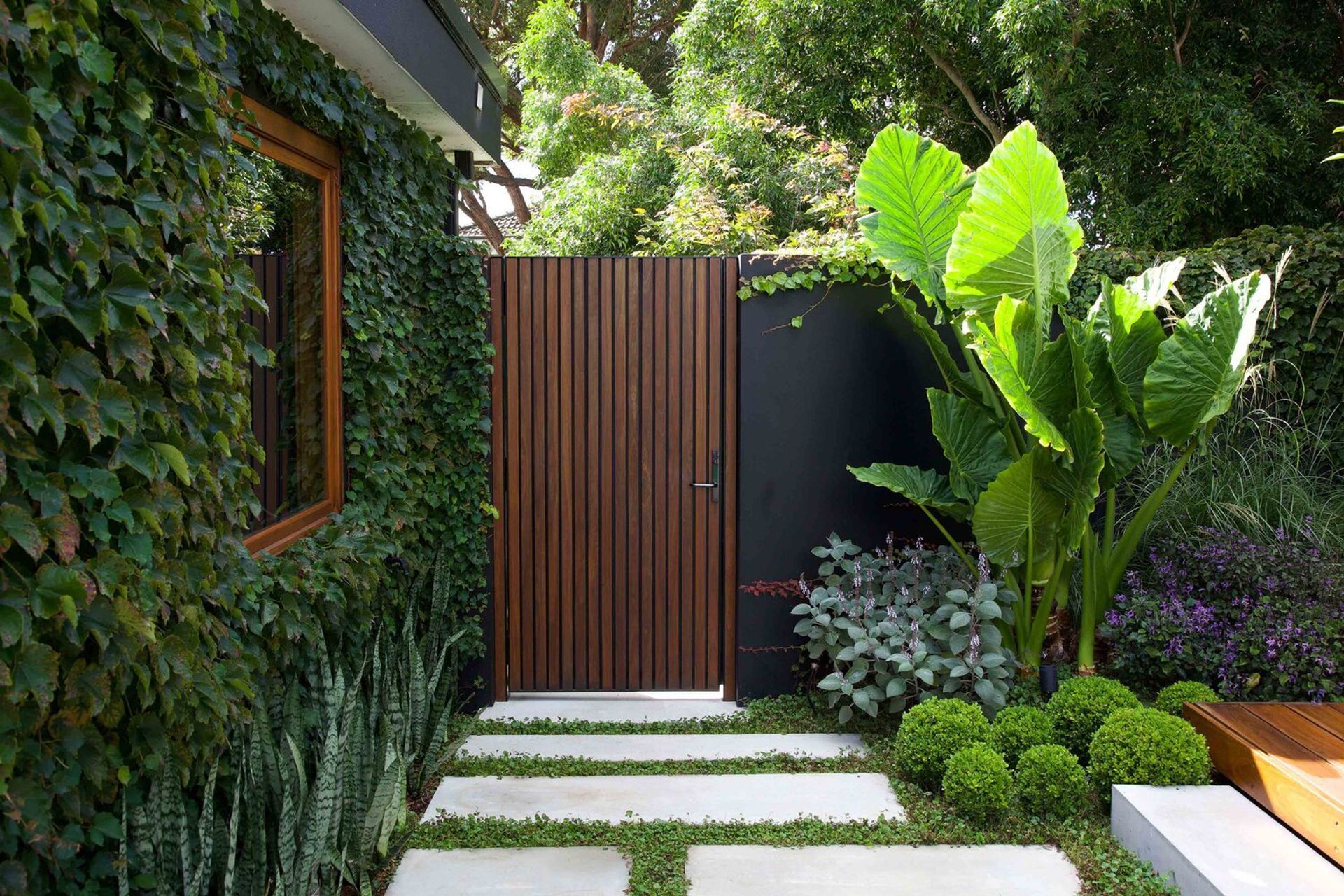 Ballerina Garden