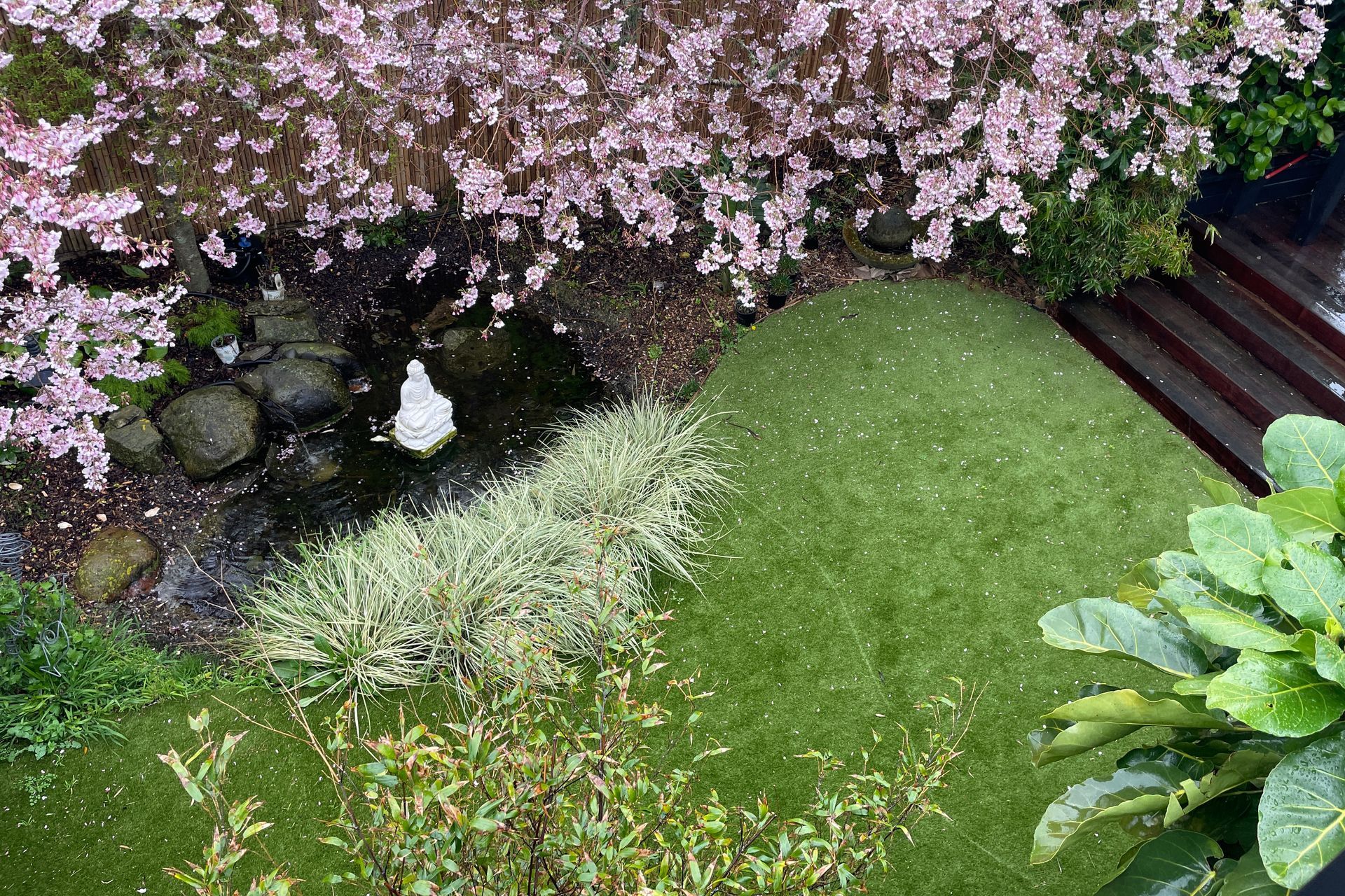 Urban Turf
