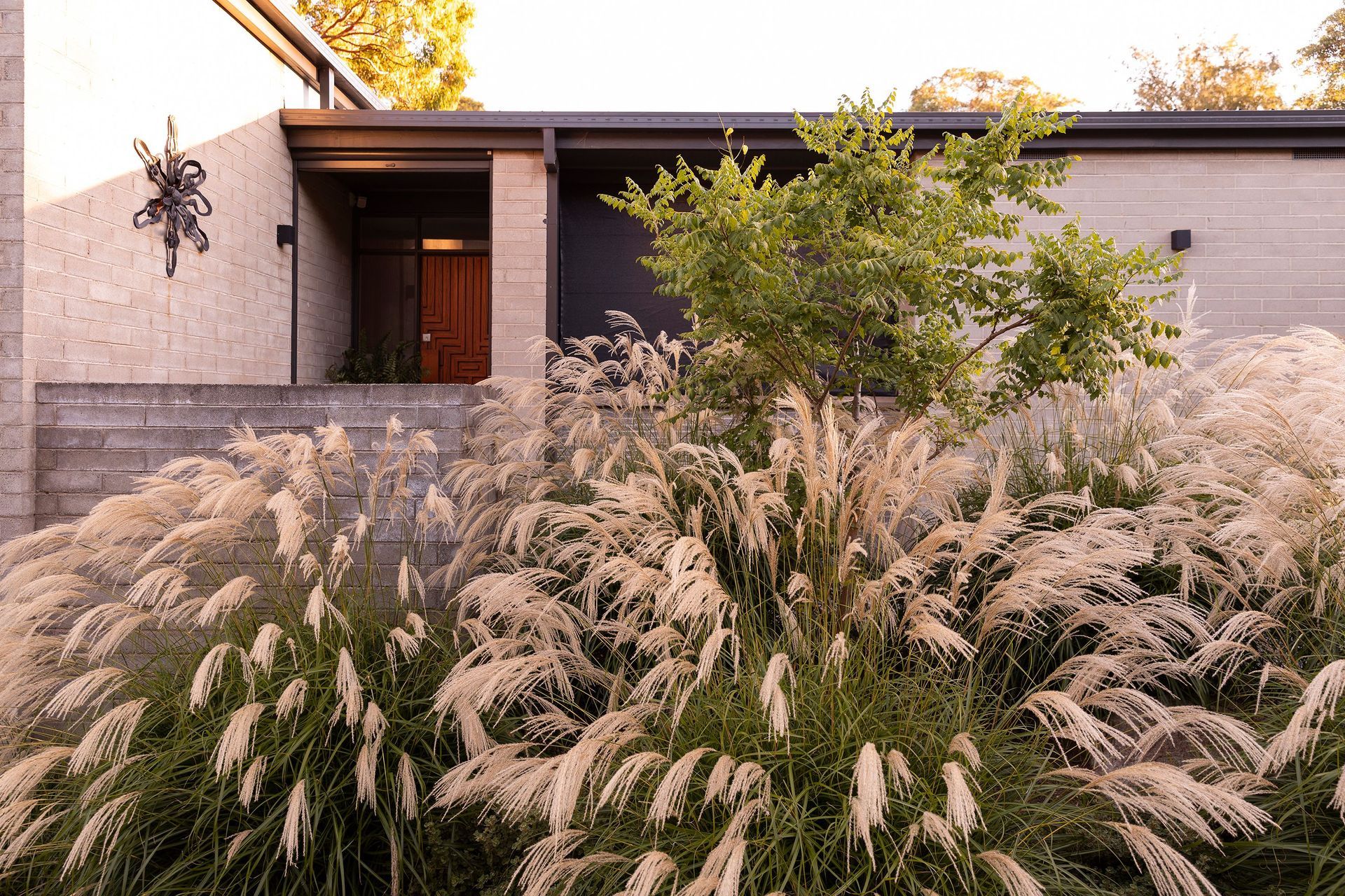 MurrayMountainView6458Gemmola.jpg