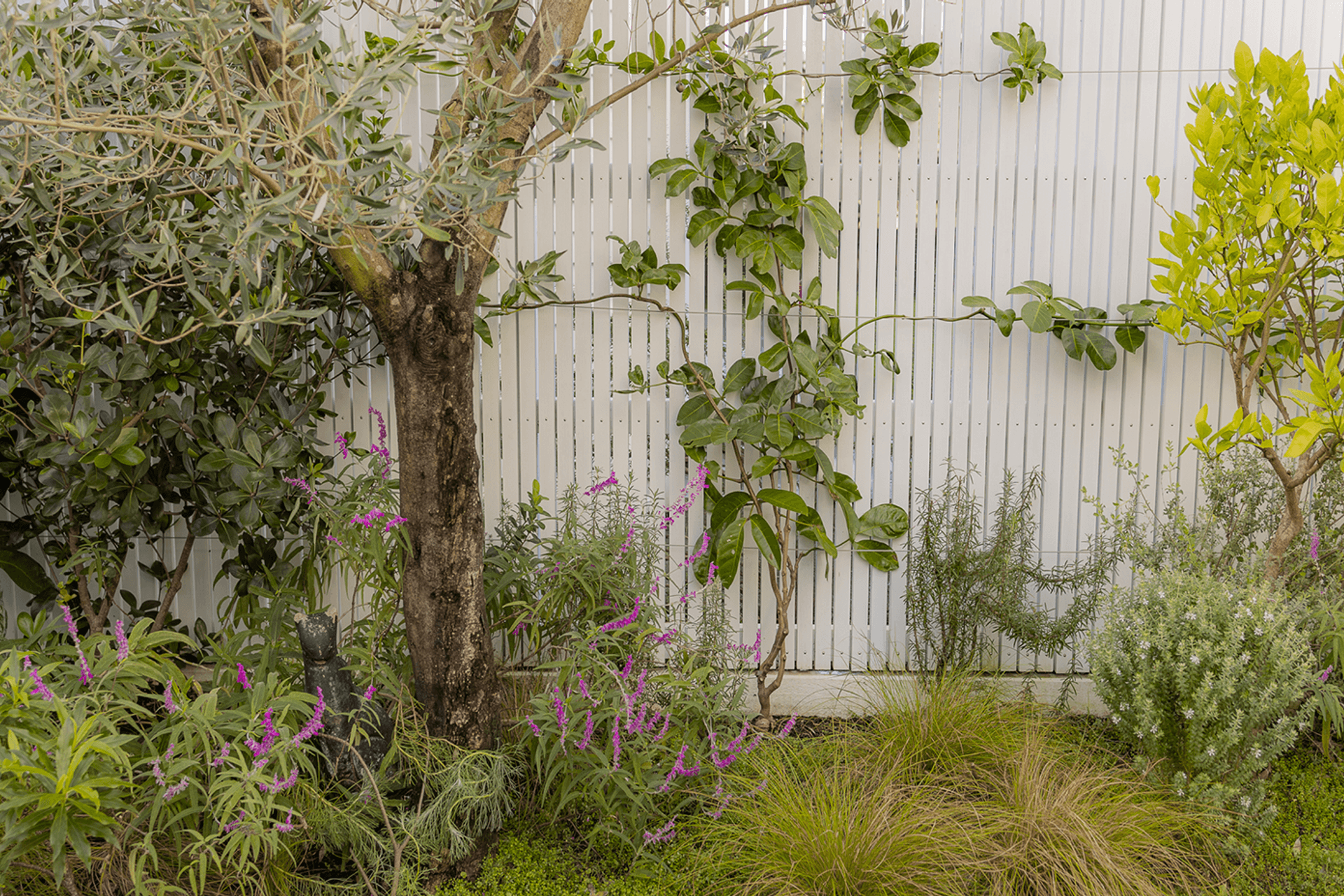 Natural-urban-courtyard-MrsSmith-Photography-5.png