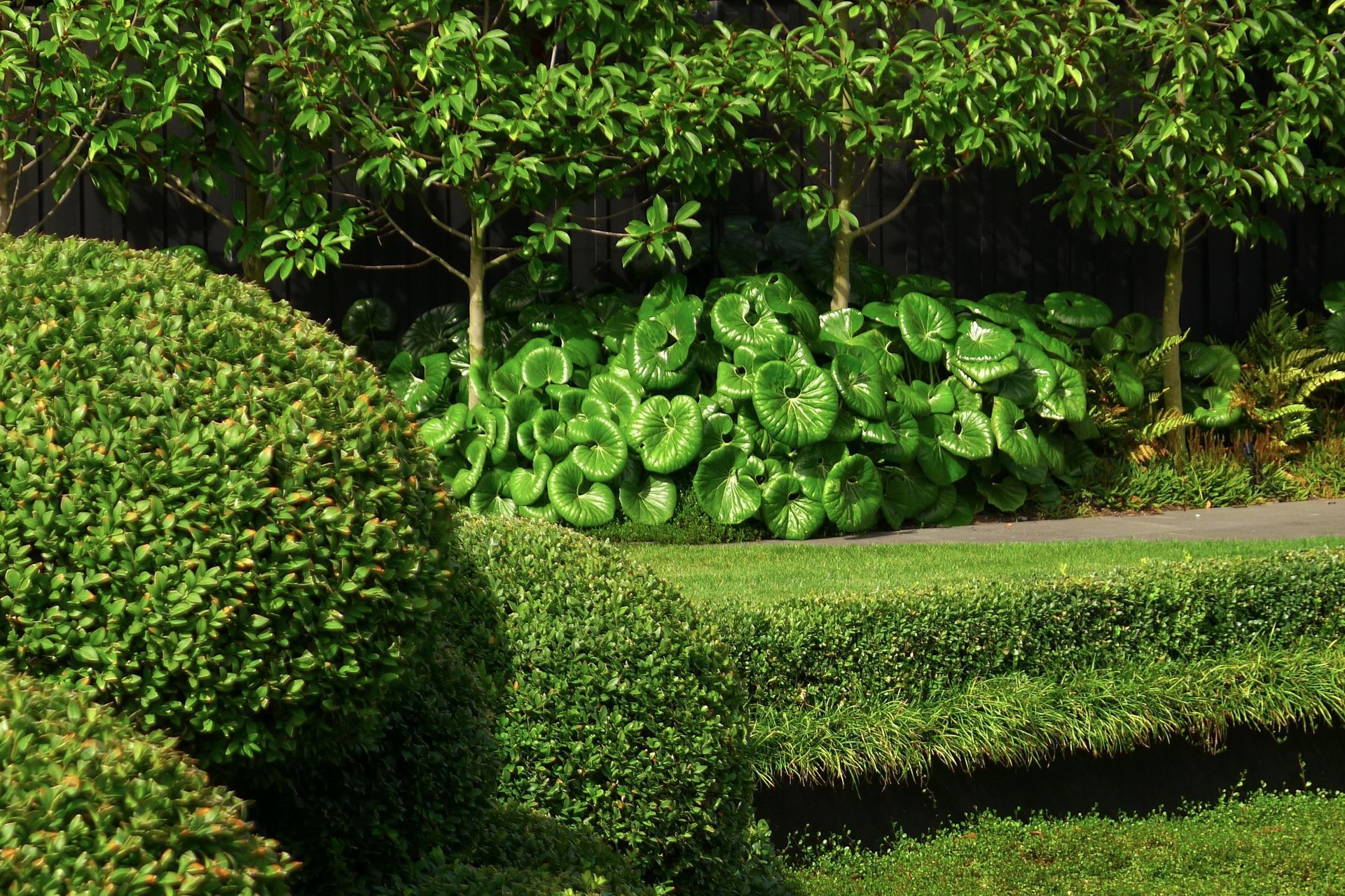 Grumpy's Garden