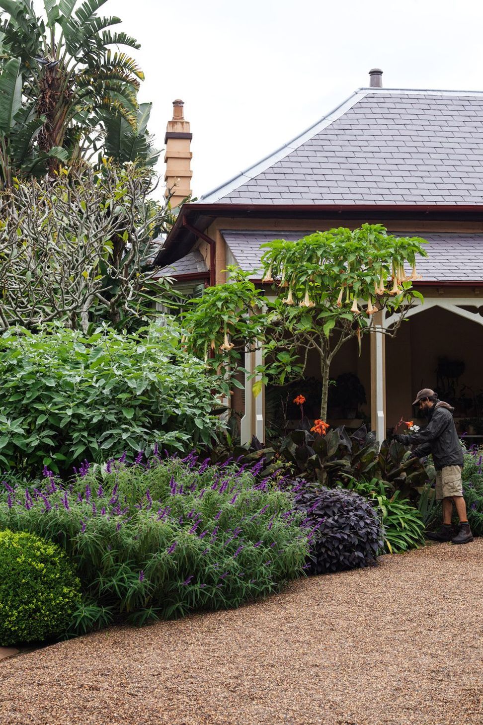 Bronte House