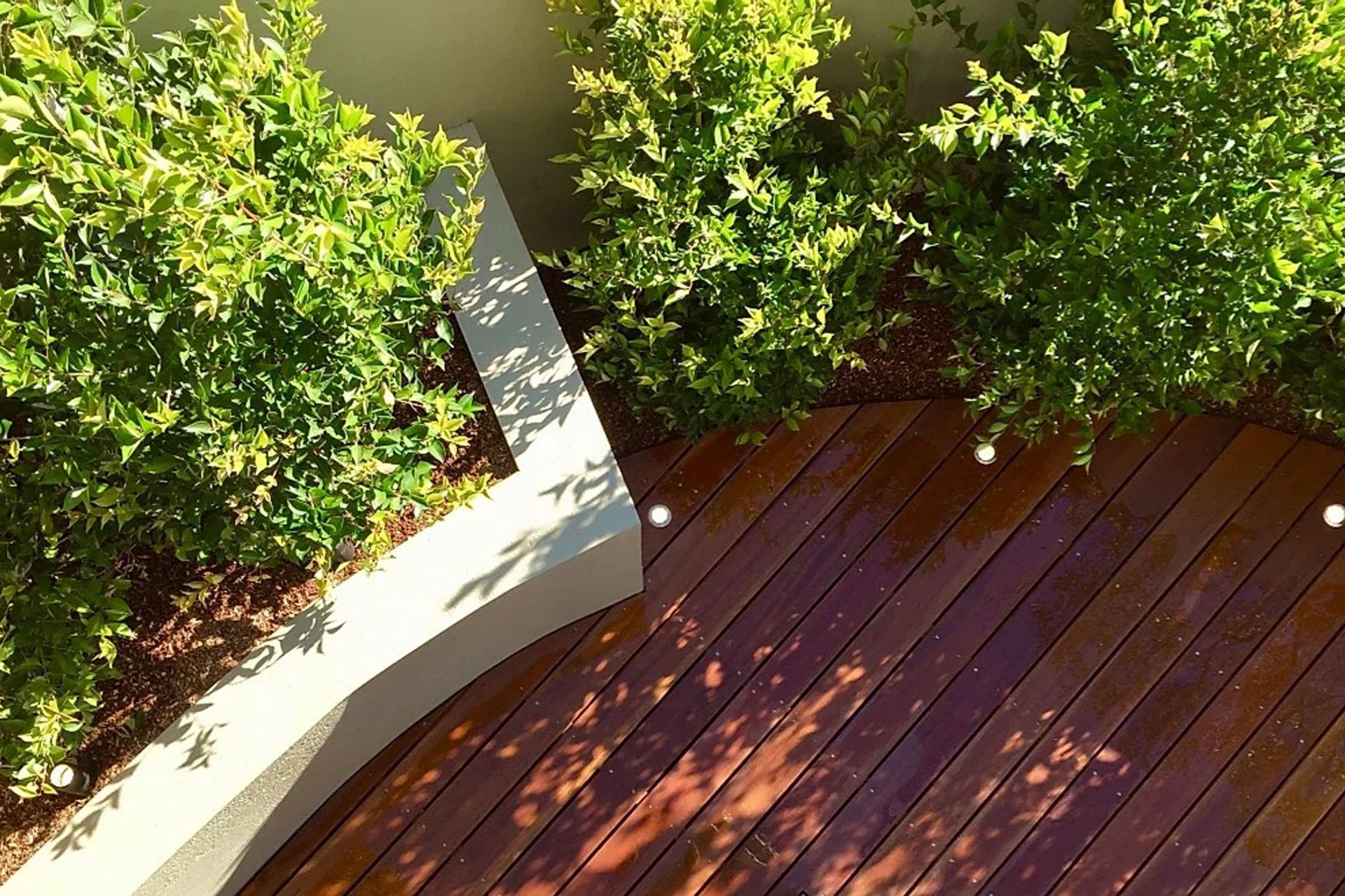 SPOTTED GUM DECKING