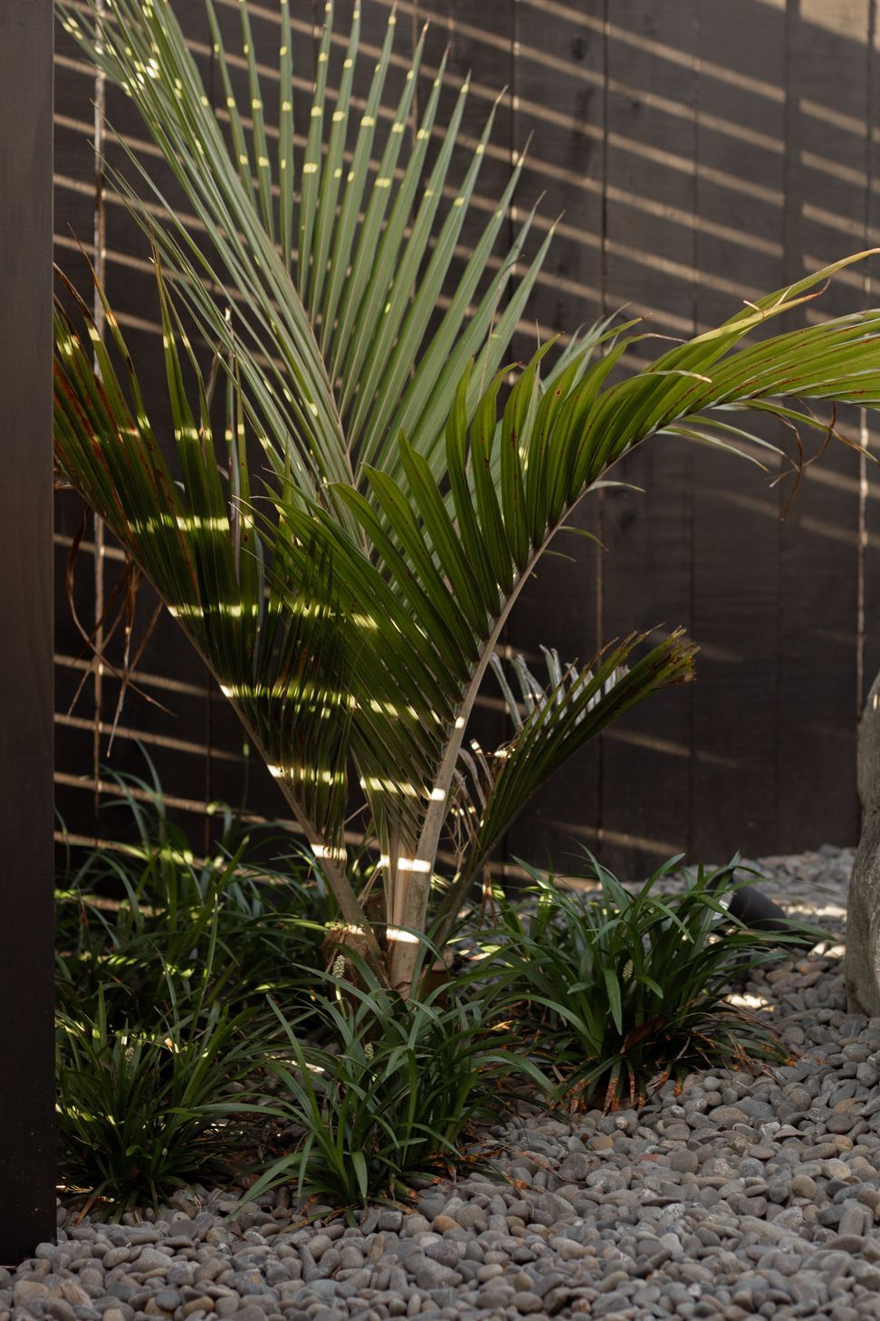 Urban Oasis