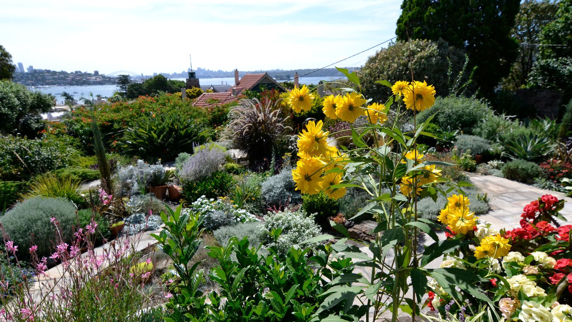 Rose Bay banner