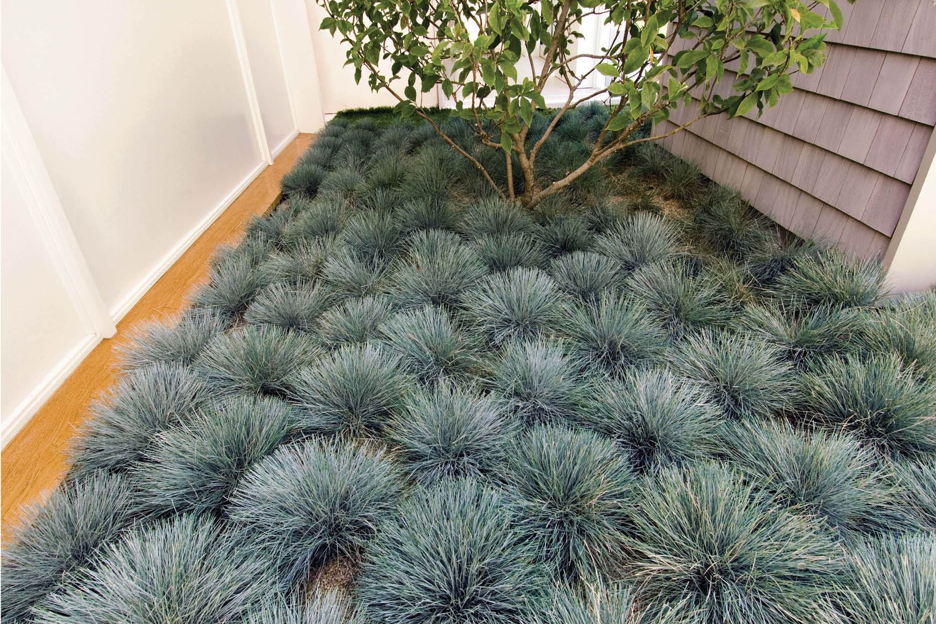 RossResidence8.jpg