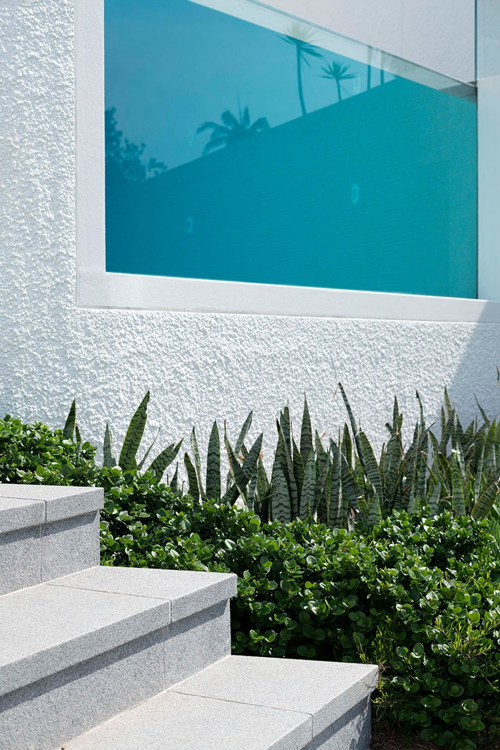 Cove House