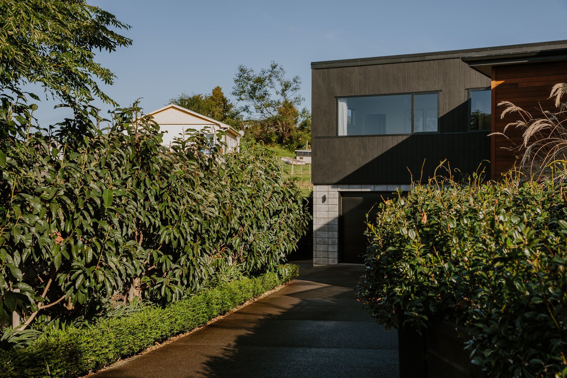 Modern Town Home