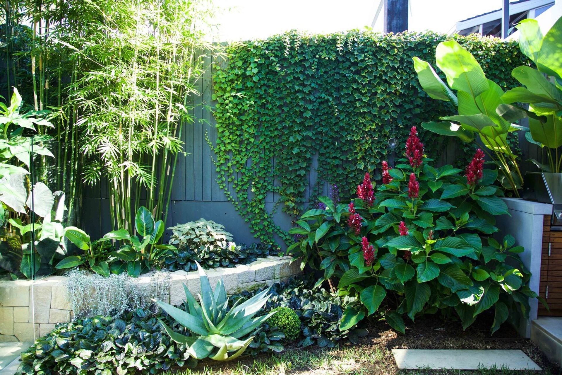 Plunge Garden