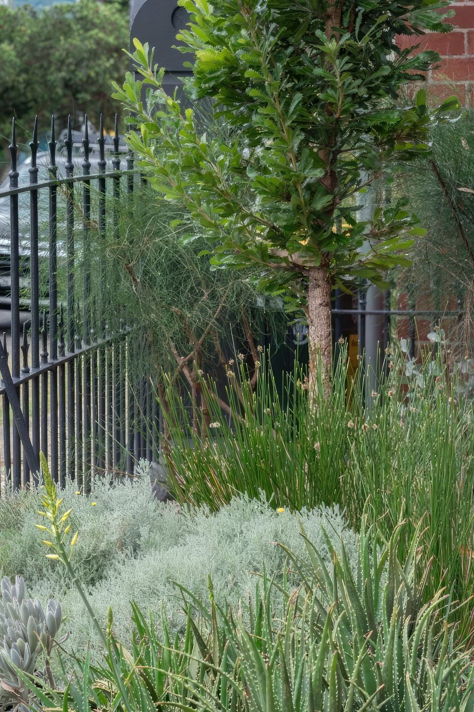 ScaledGarden-LifeDesignNeighbourhoodNatural5-818x1020-standard-scale-200x.jpg