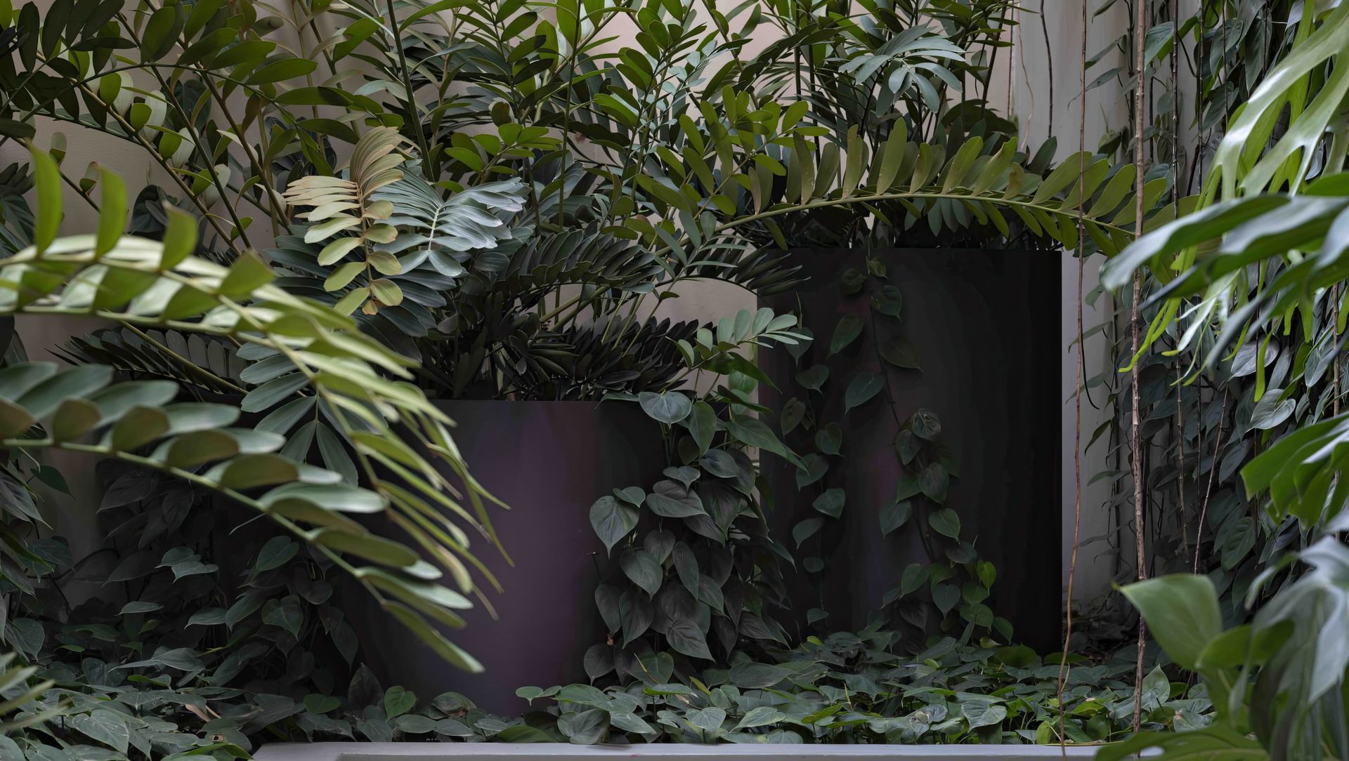 Urban Jungle banner