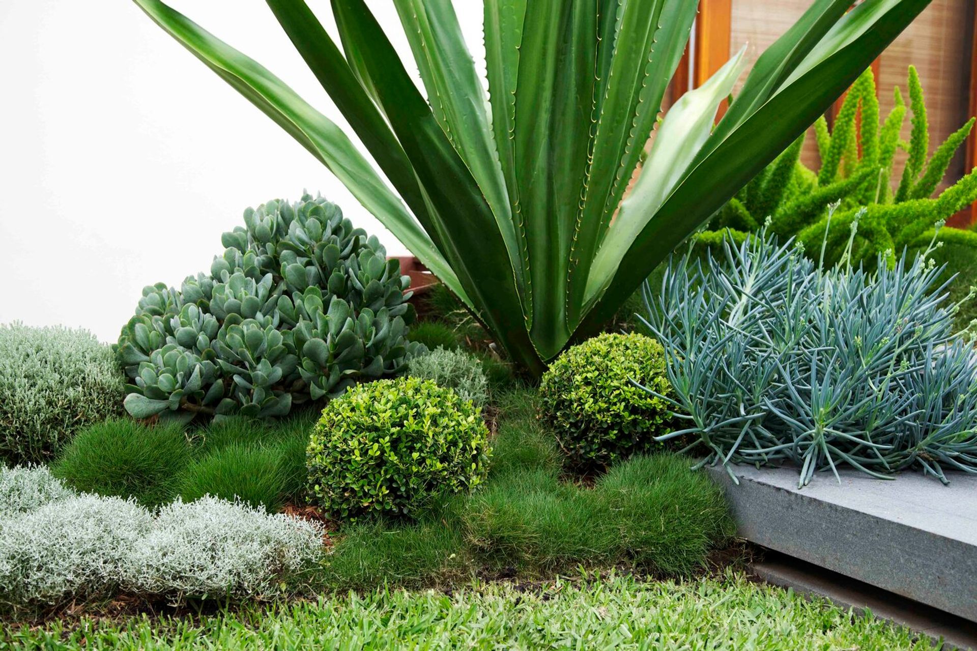 Family Garden