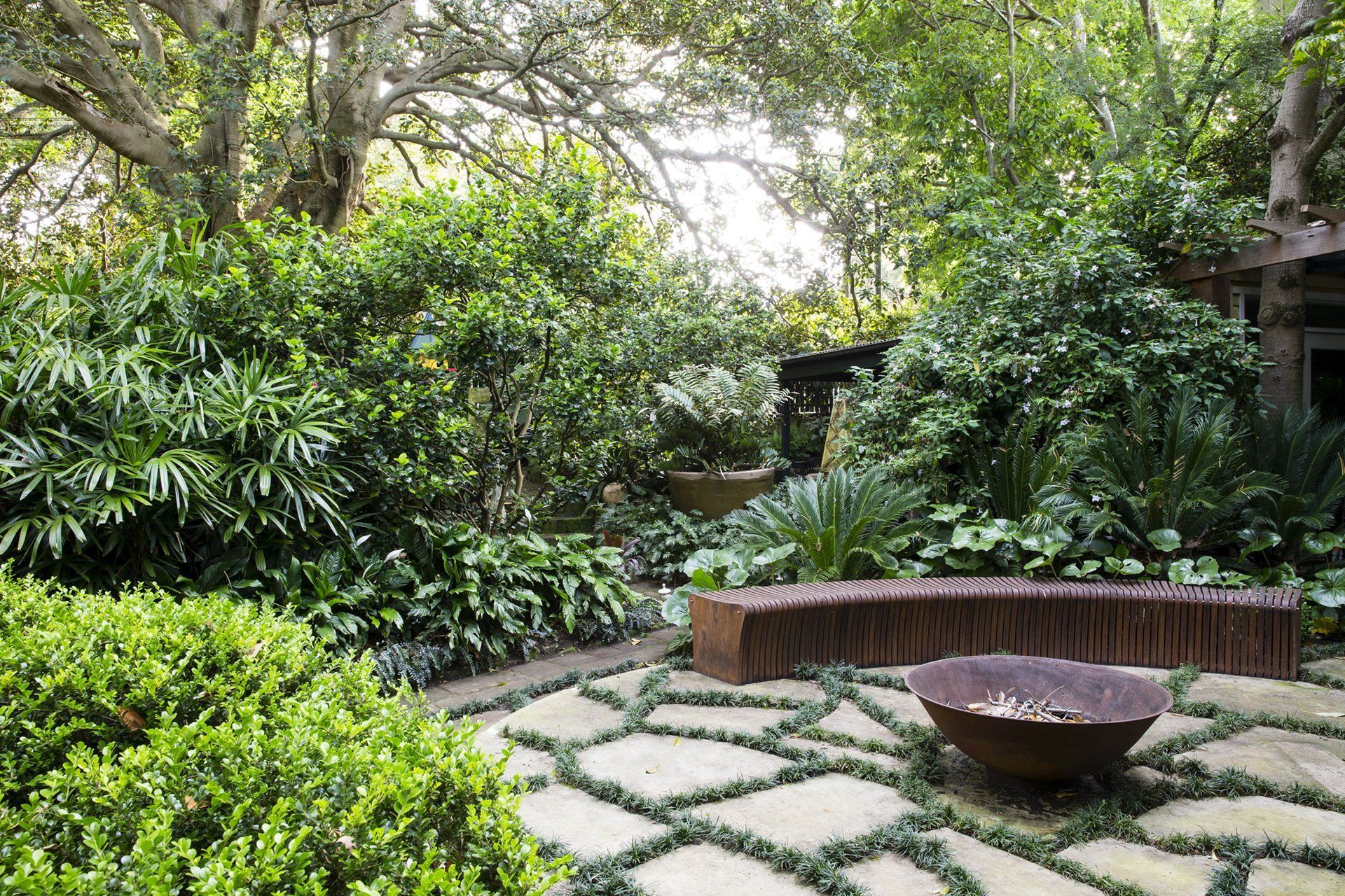 Bower Bird