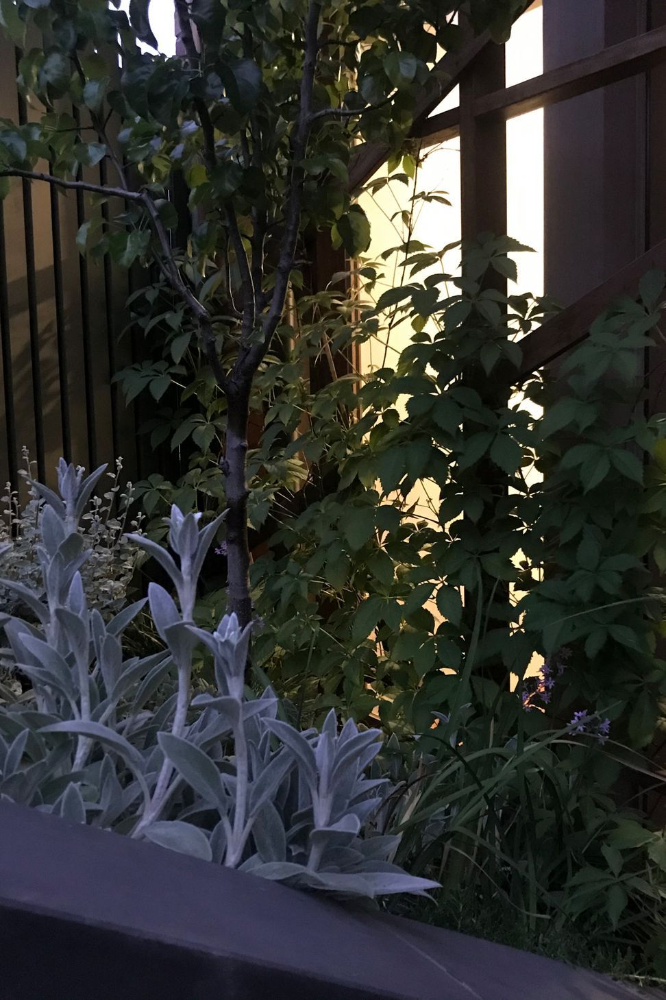 ##^^**&amp;&amp;'Welkin', Colourful Rooftop Terrace &amp; 'Scarborough' Garden In Clifton Hill