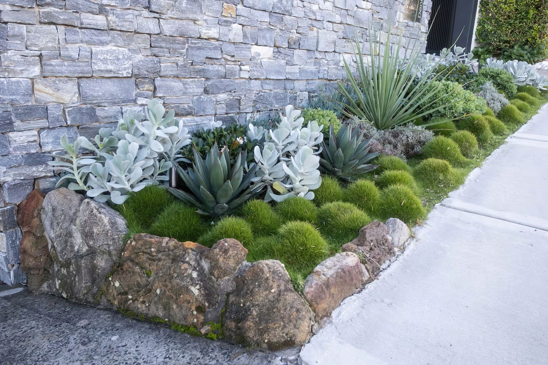 imgi11Front-Garden-Bellevue-Hill-By-Vogue-Vine-1-scaled.jpeg