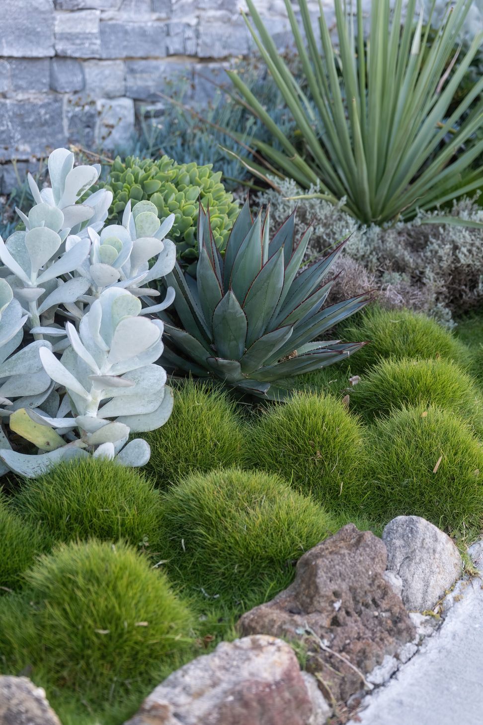 imgi13Front-garden-landscapes-Bellevue-Hill-by-Vogue-Vine-1-scaled.jpeg