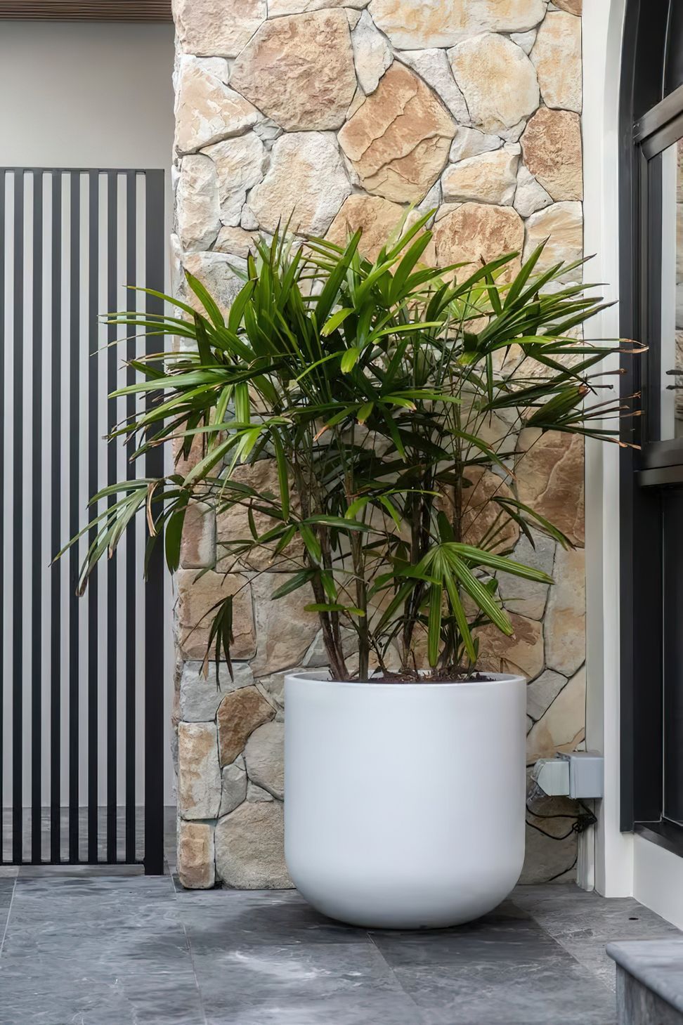 imgi14Landscape-designer-Double-Bay-Sydney-By-Vogue-Vine-scaled.jpeg