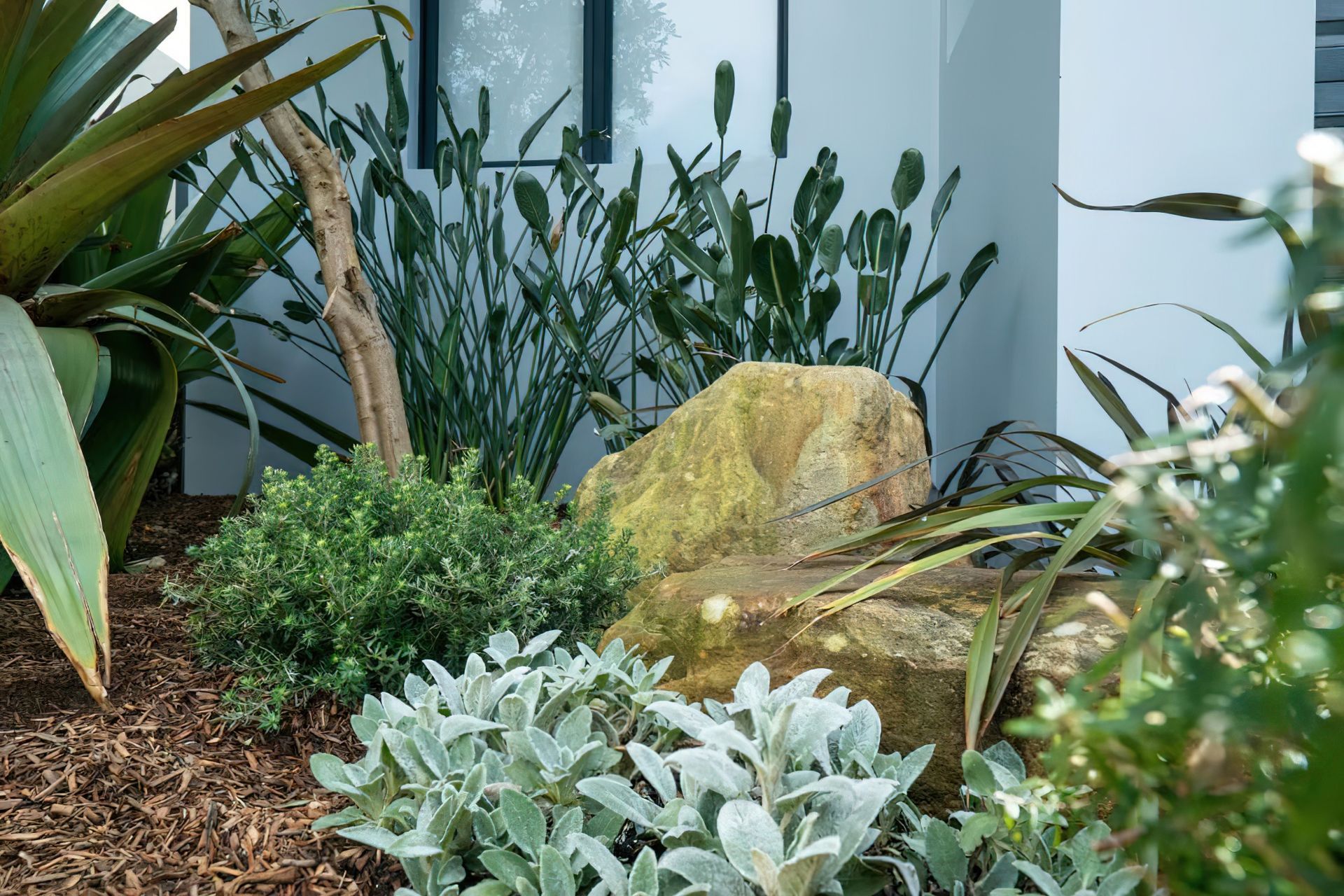 imgi26dover-heights-front-garden-2-1024x684.jpeg