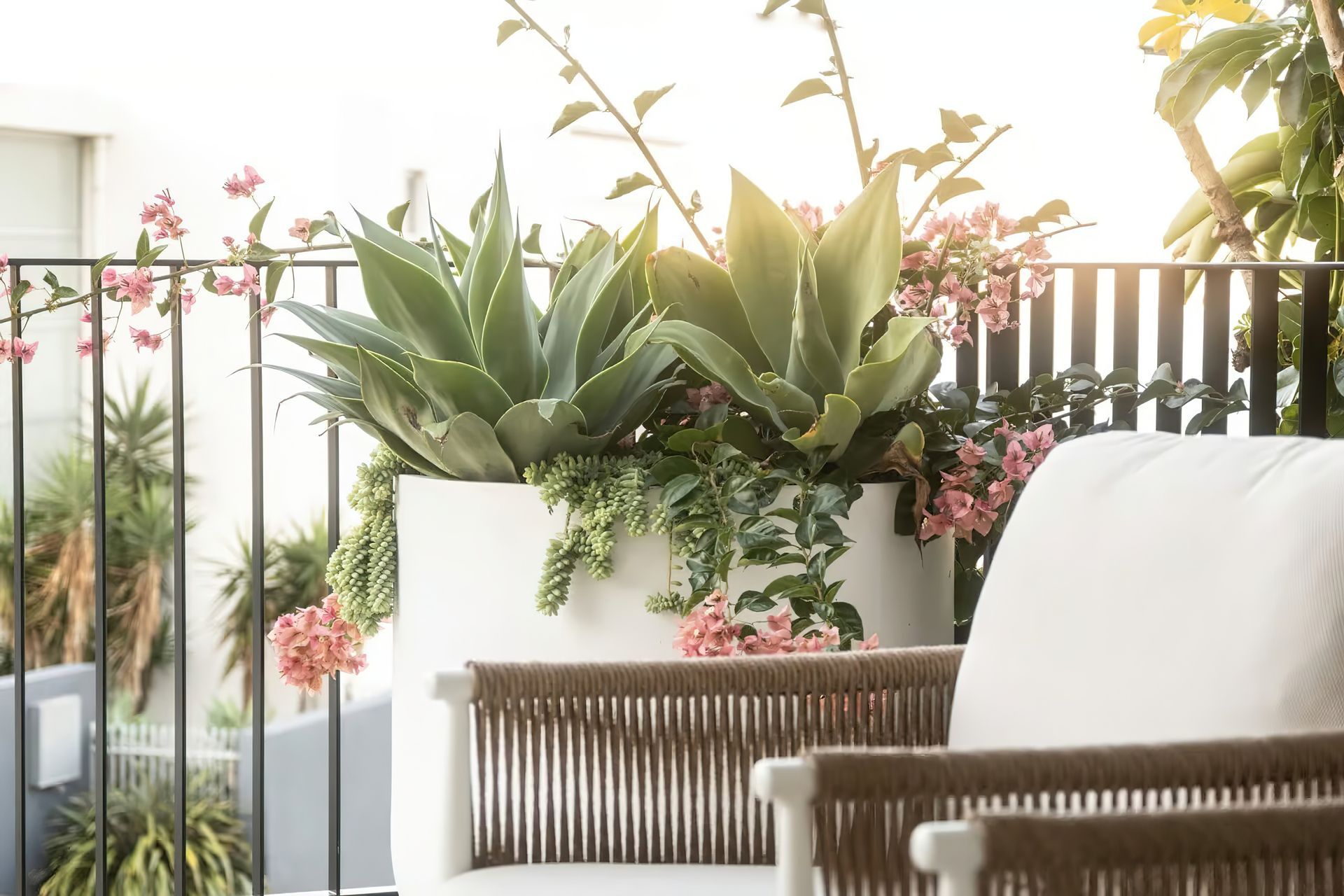 imgi7Small-balcony-garden-Bellevue-Hill-By-Vogue-Vine-scaled.jpeg