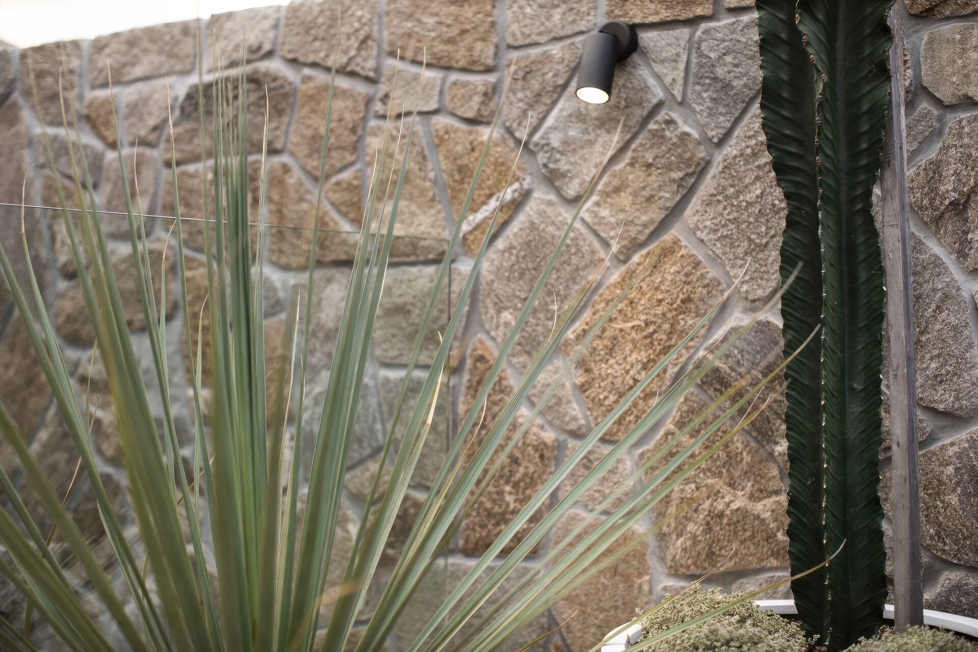 upRose-St-Merewether-Backyard-Plunge-Pool-13-scaled-fix-standard-scale-200x.jpg