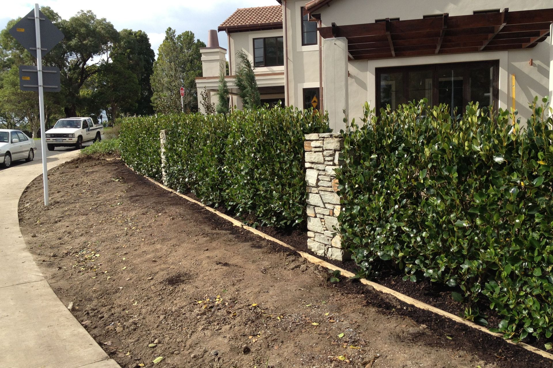 DURING - instant hedges in — fast and simple landscape structure