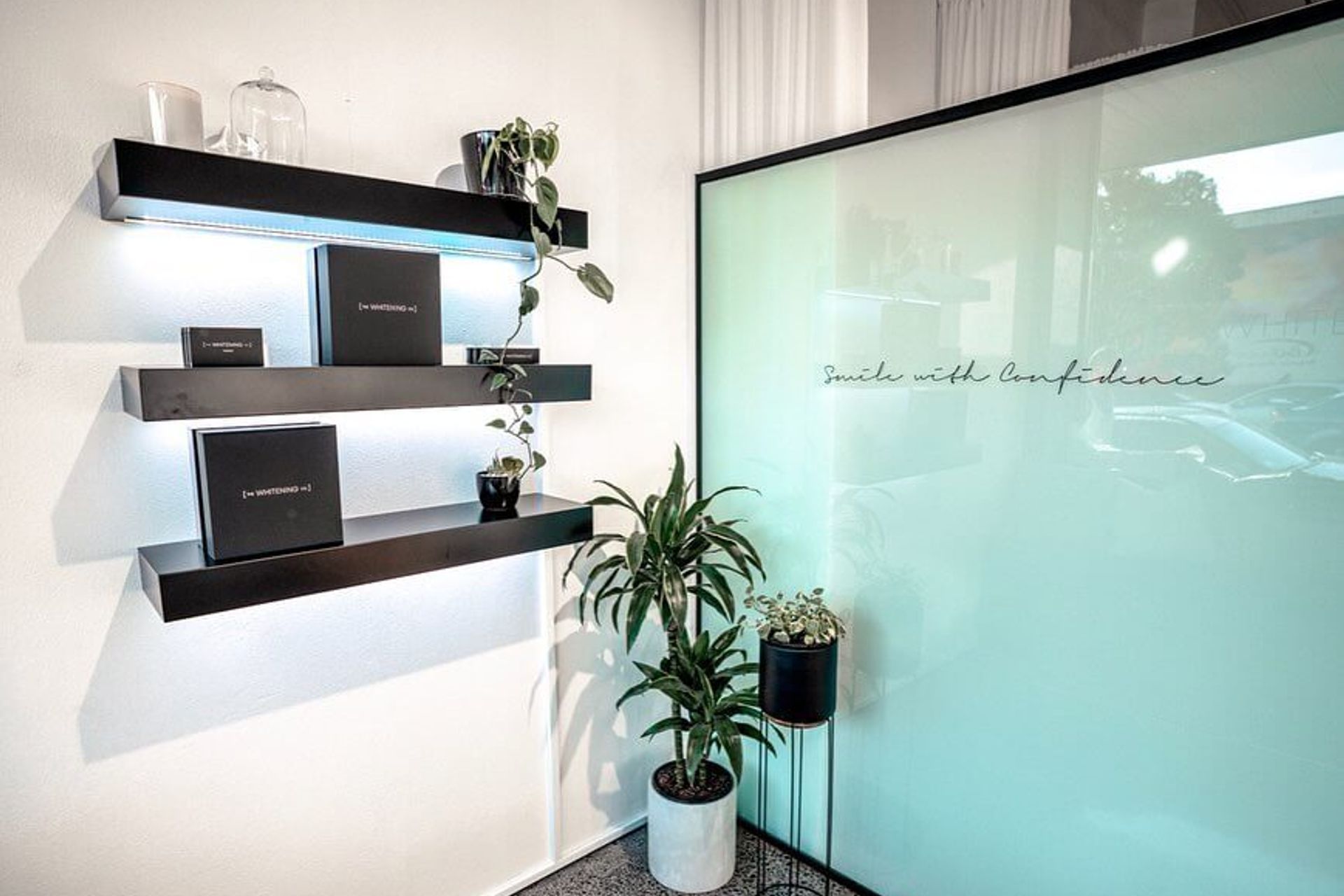 The Whitening Co