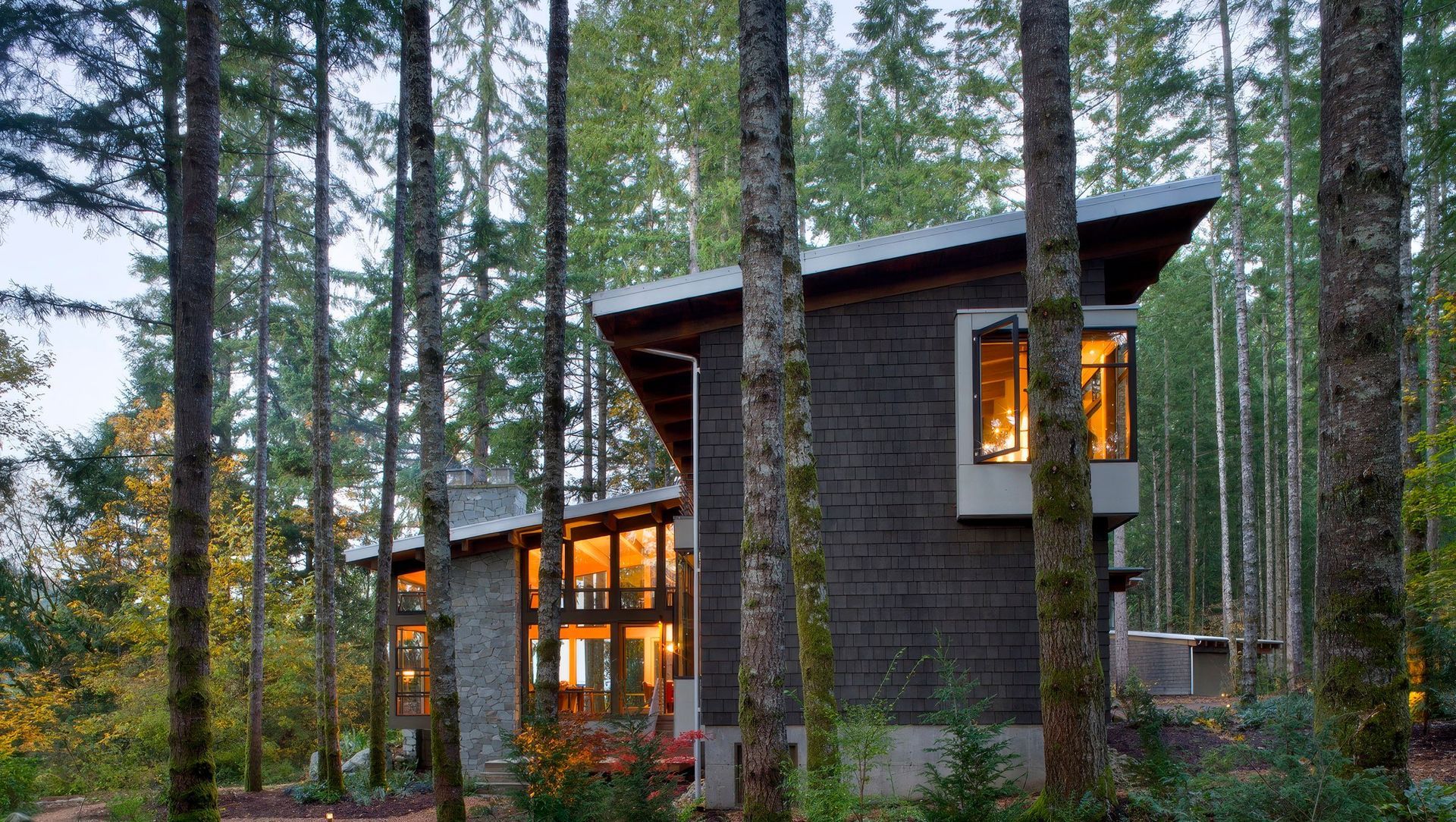 House in the Trees banner