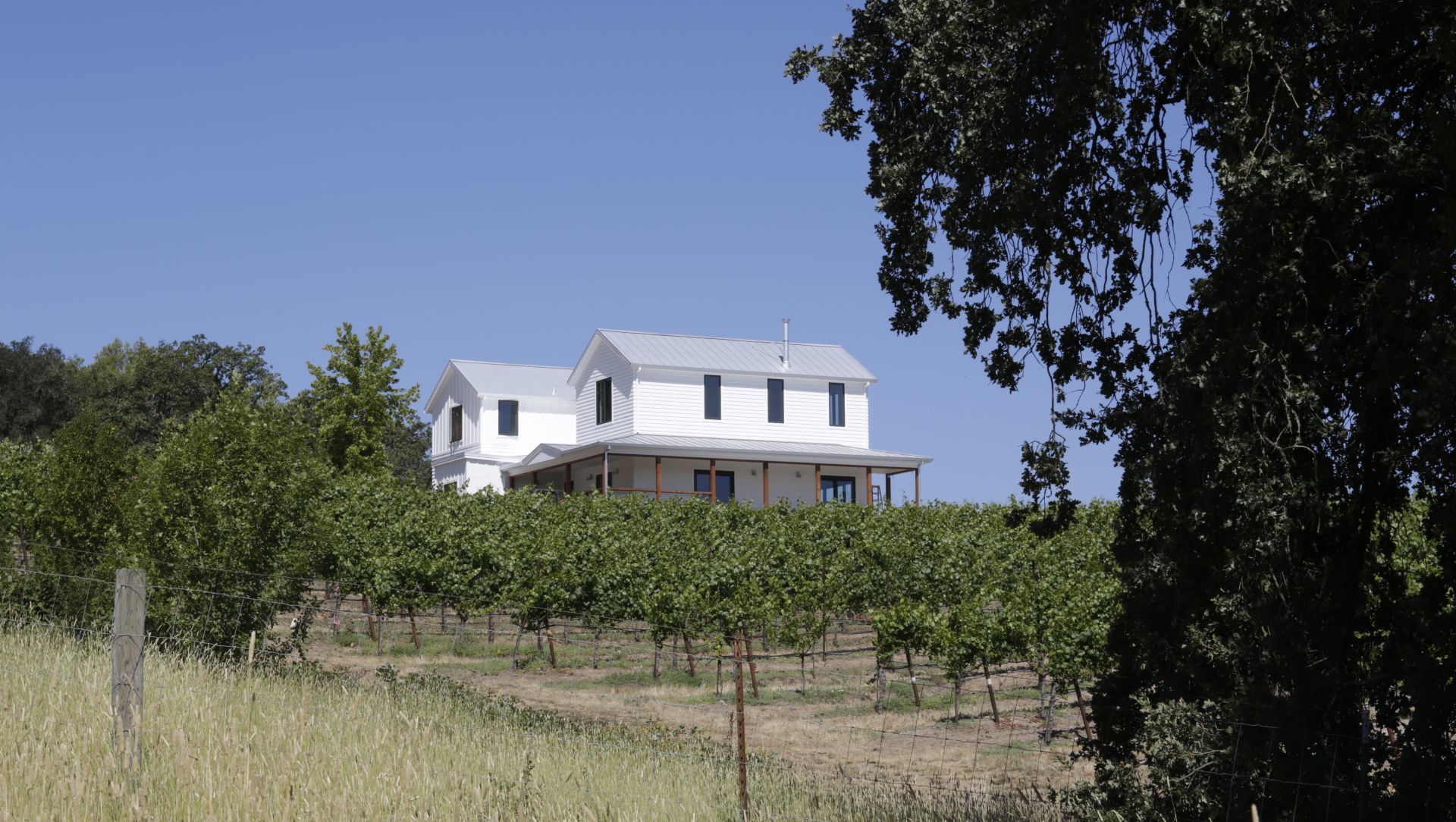 Vineyard Farmhouse: A Modern Farmhouse set with the Vineyard banner