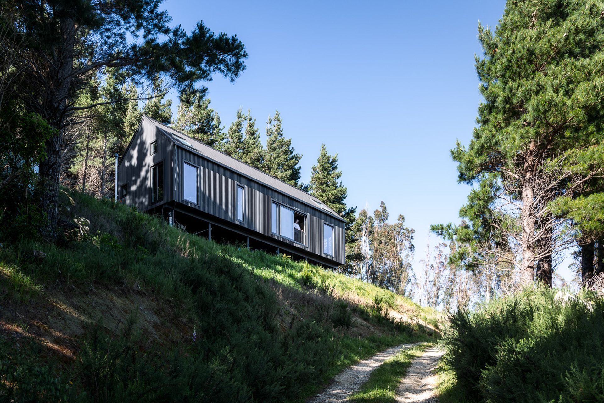 Off The Grid