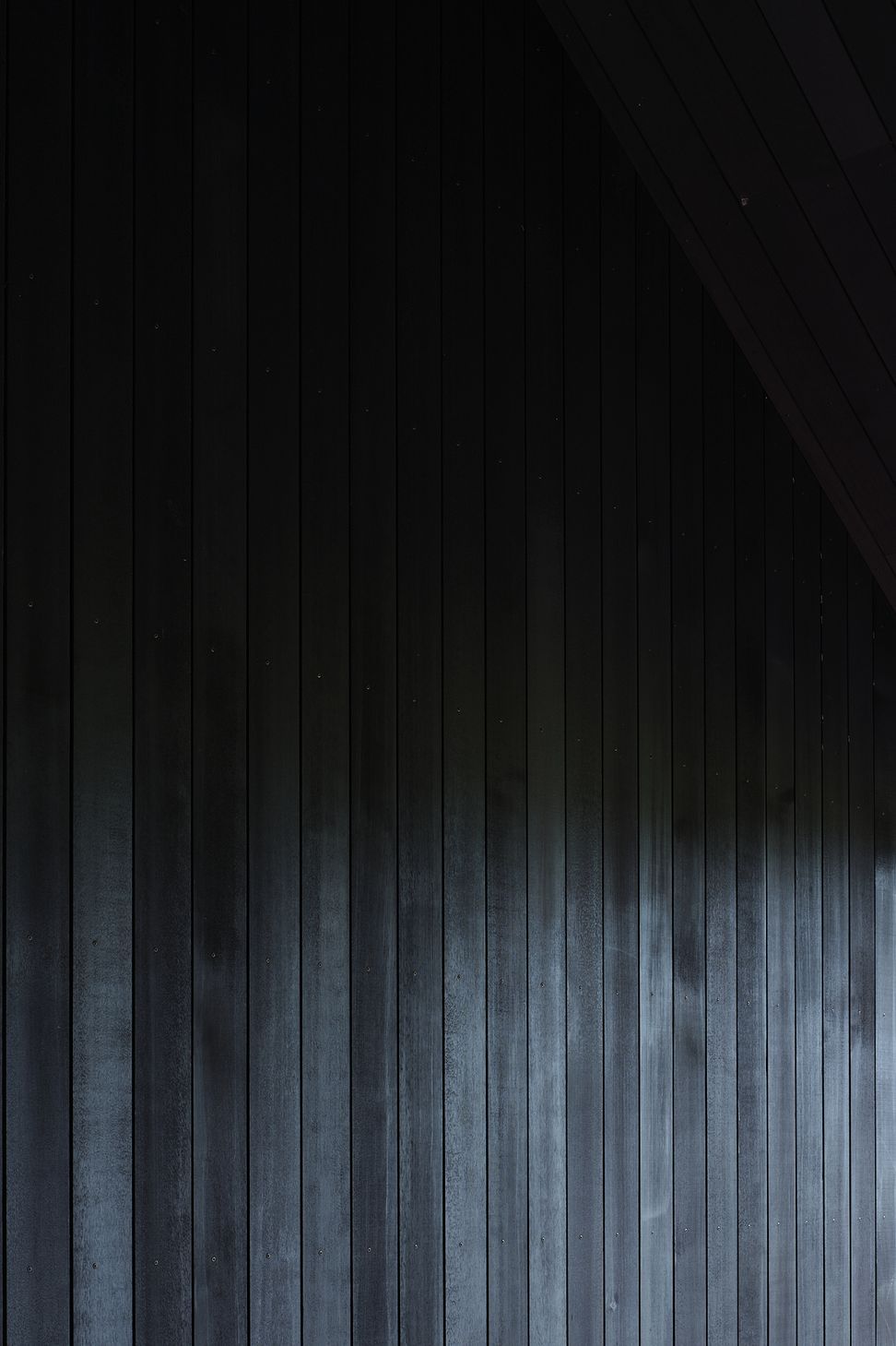 DSF2164web.jpg