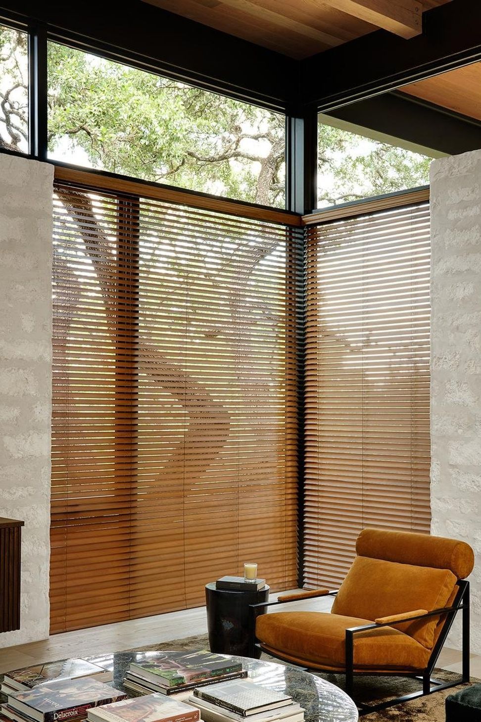 Mark-Richardson-Architects-Modern-Treehouse-Austin-Texas-5.jpg