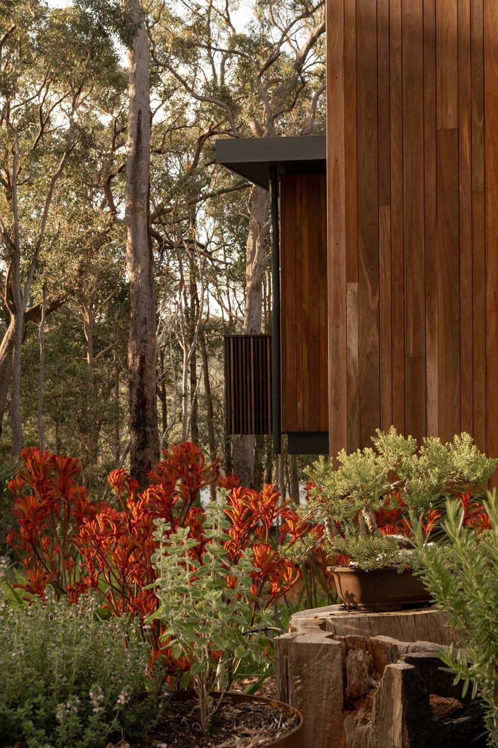 Treehouse Margaret River
