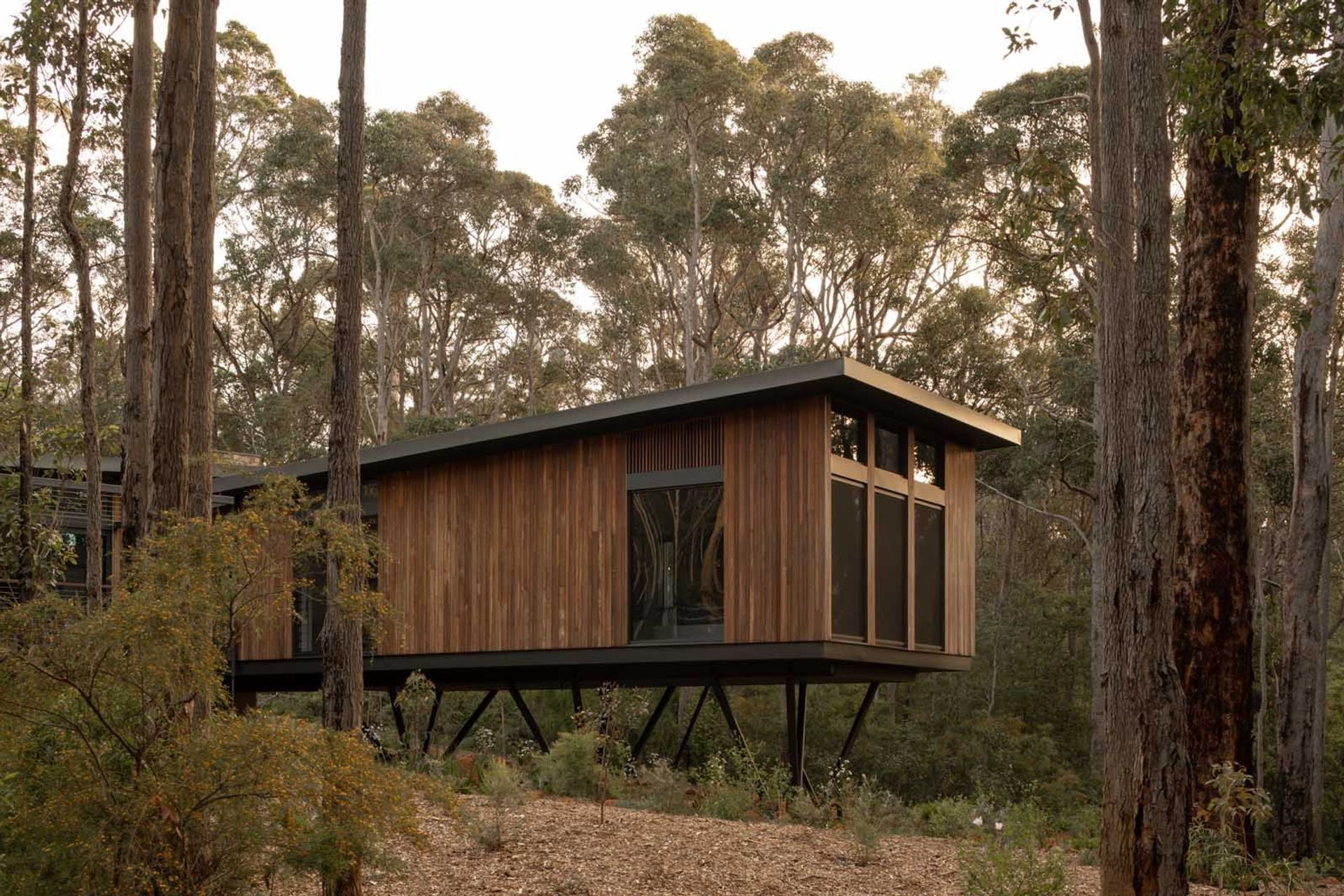 Treehouse Margaret River
