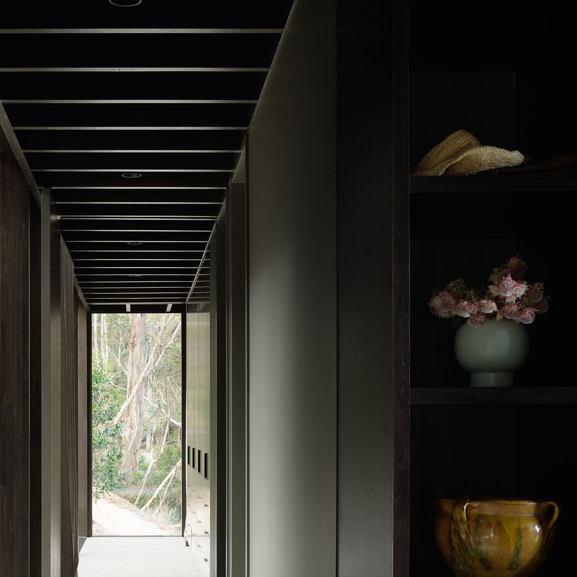 te2412ArchierTaroona093.jpg