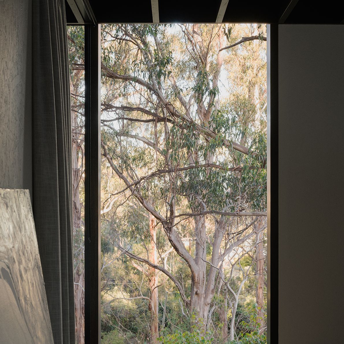 te2412ArchierTaroona115.jpg