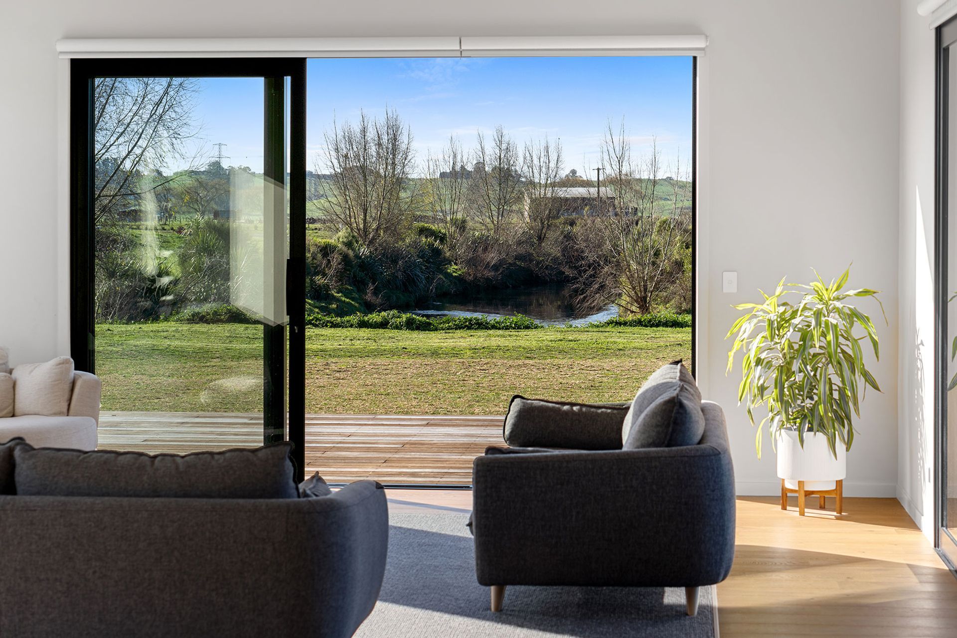waikato-appeal-aplenty-lounge.jpeg