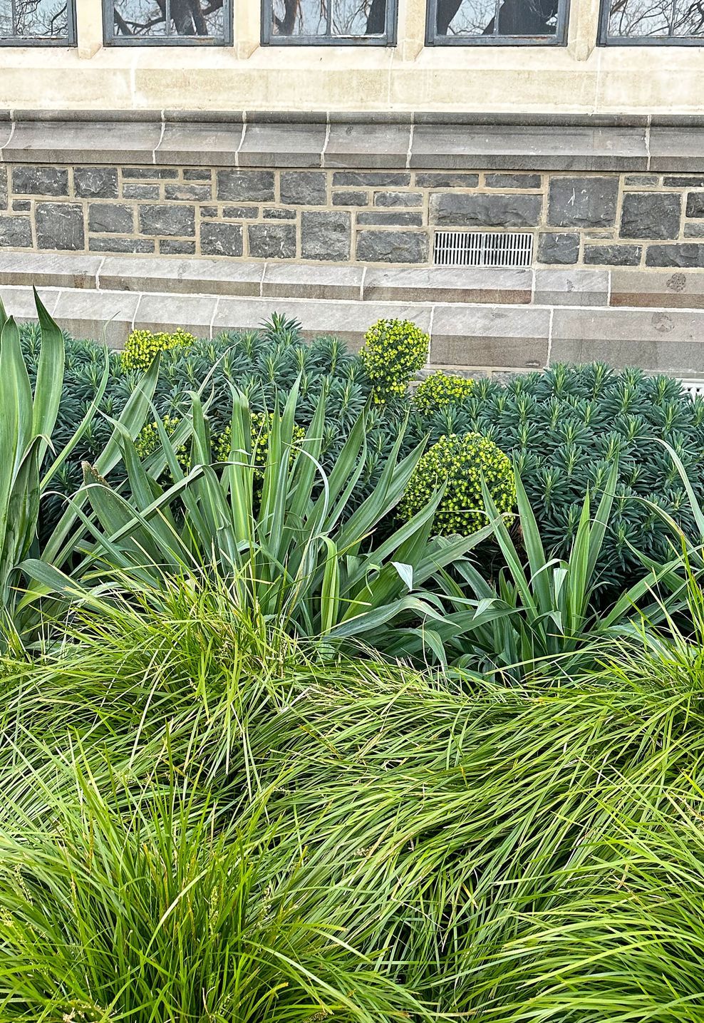 BotanicLandscape-ArchitectsChch-BoysHigh-10.jpg