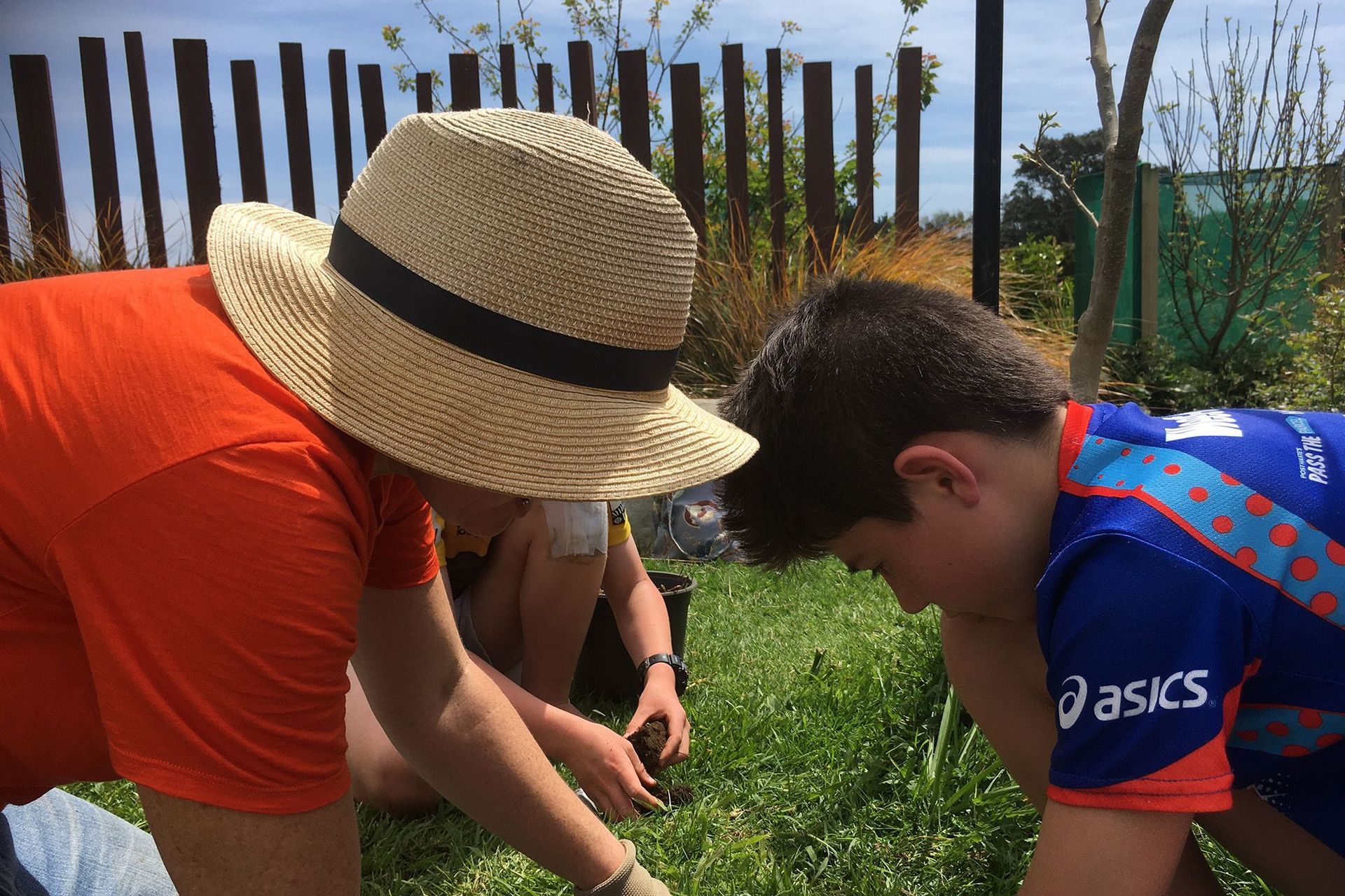 Soil Assessment