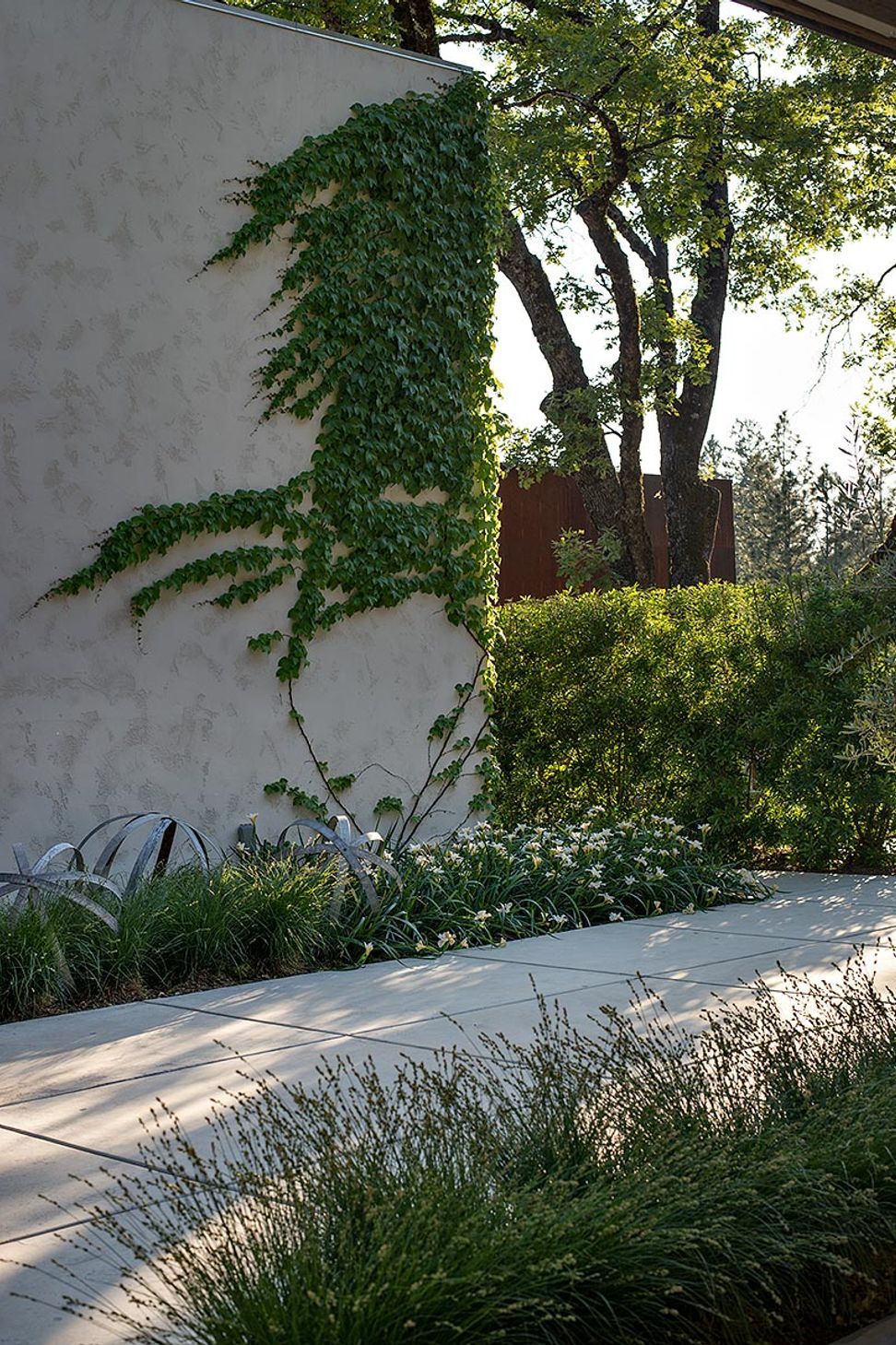 013Zack-de-VitoModern-Architecture-Construction-DesignBuildLK-HouseCalistogaCustom-Homestucco-detaillandscapeLiske-013.jpg