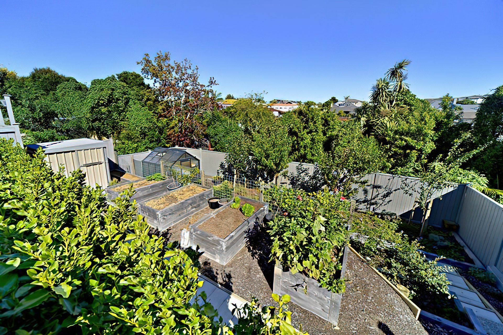 111 Melanesia Road