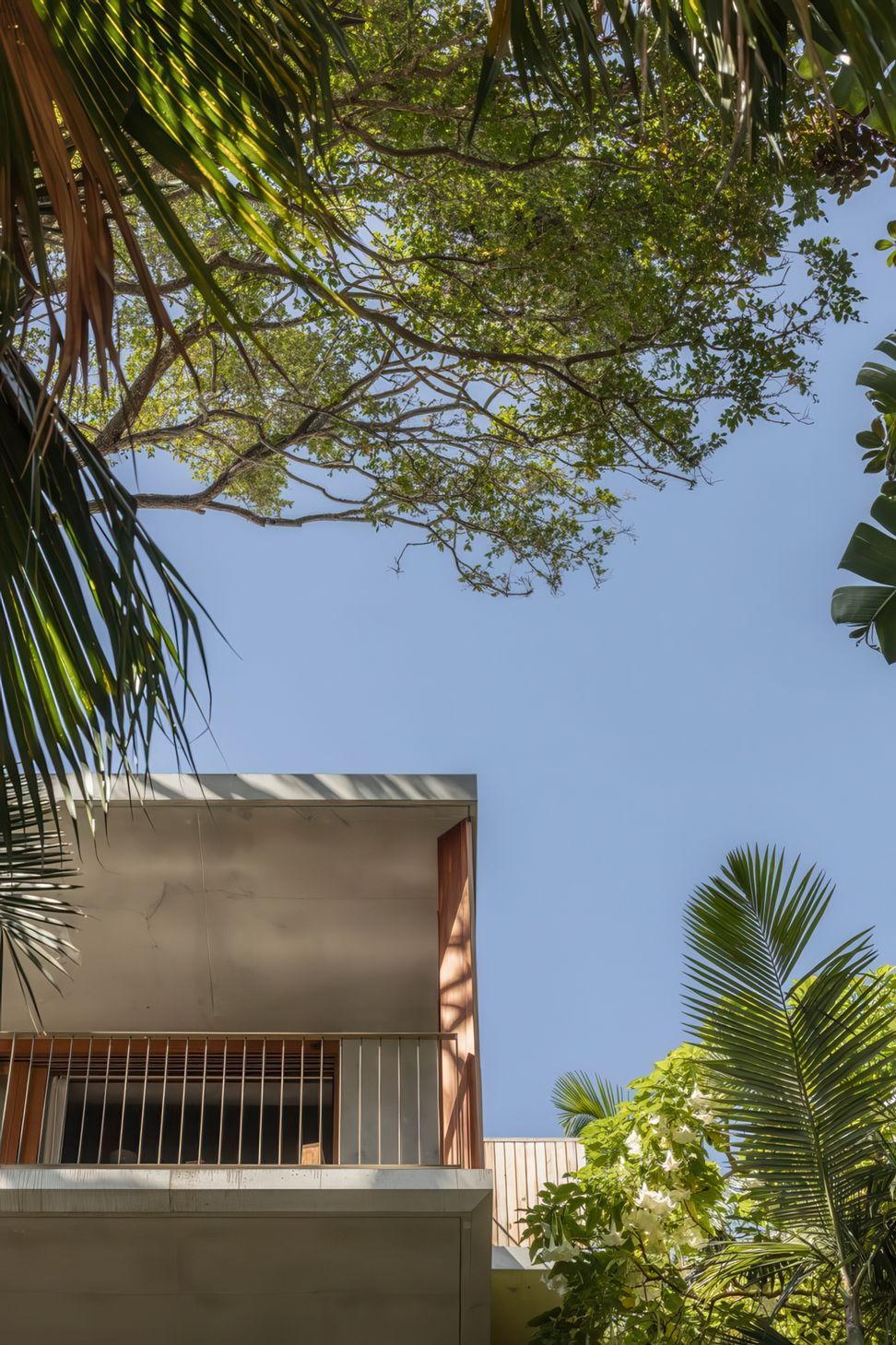 2024-02-29Cadence-CoPalm-Beach4015resized-720x1080-gigapixel-low-resolution-v2-2x.jpeg