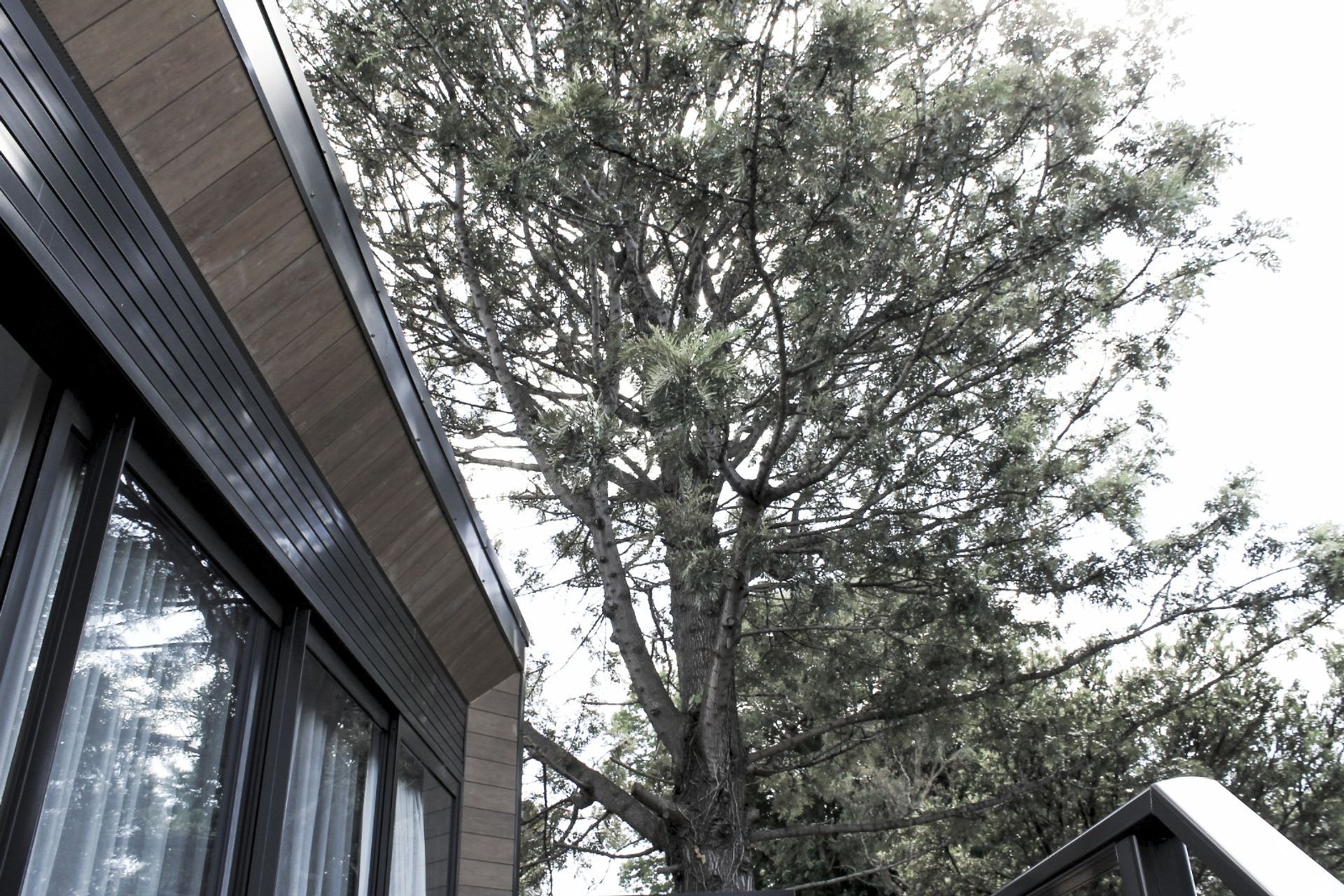 Rozelle House
